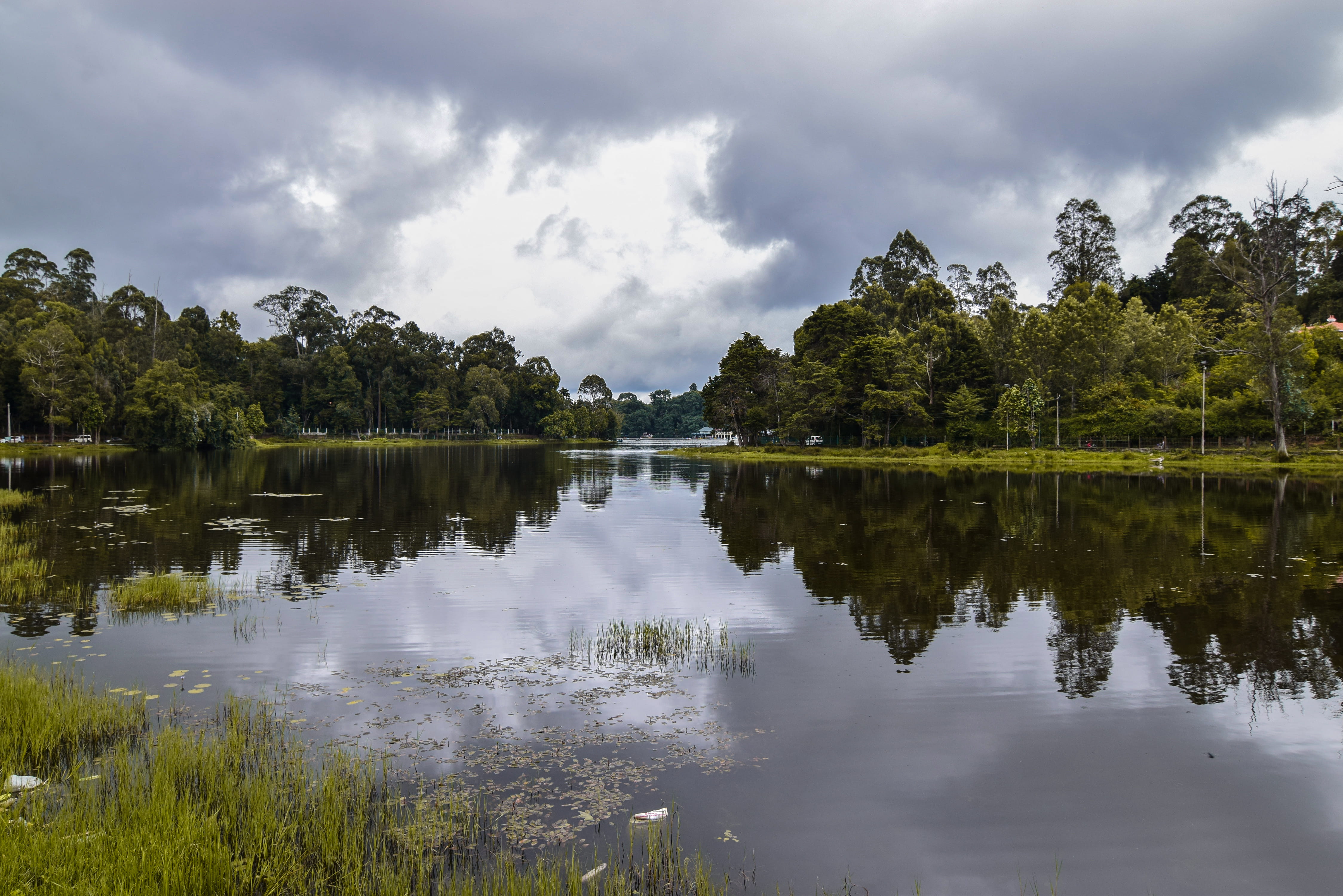 4K, india, plant, non-urban scene, trees, green color, nature, no people, reflection lake, kodaikanal, cloud - sky, scenics - nature, day, growth, idyllic, HD Wallpaper