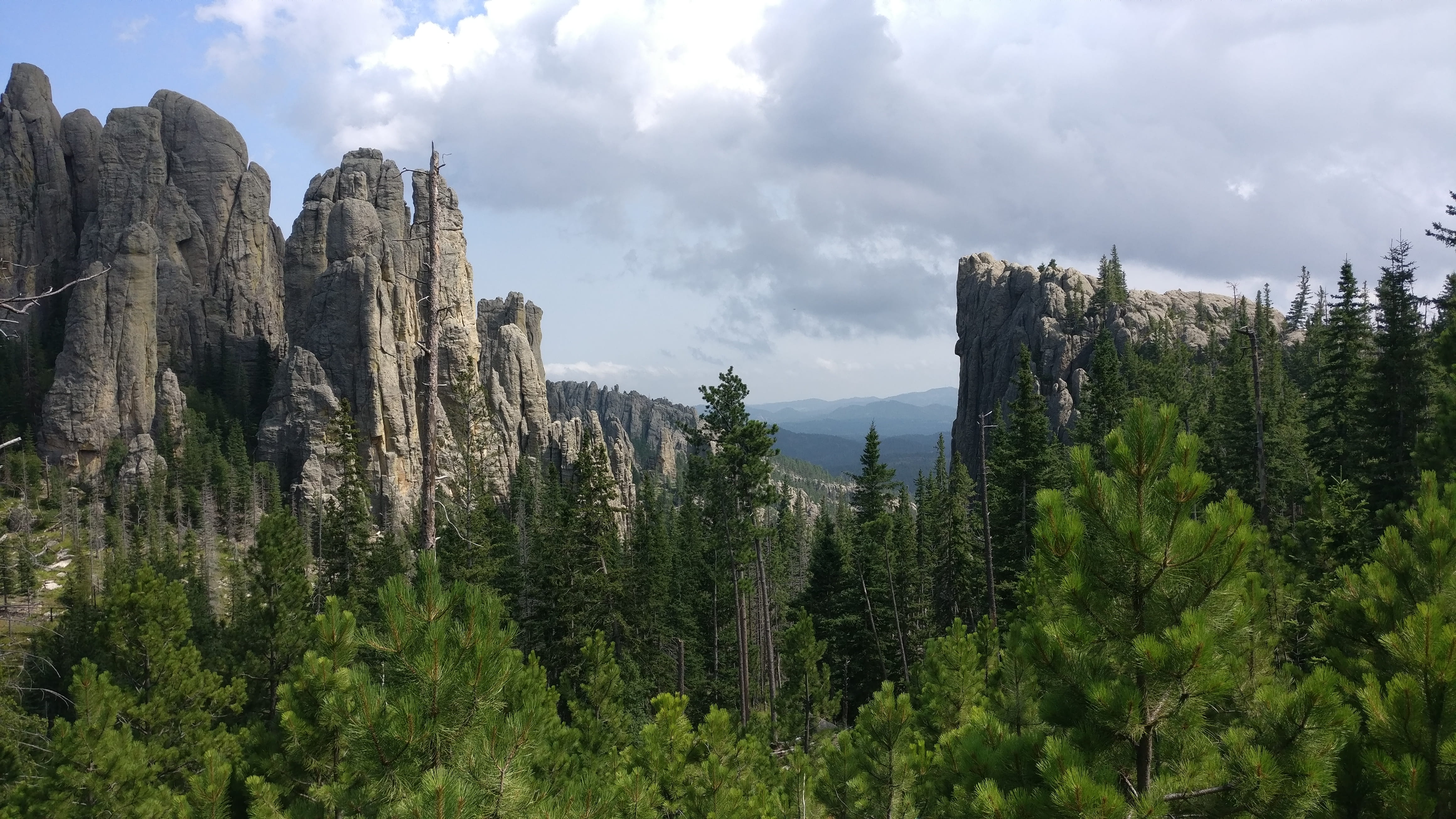 land, cloud - sky, non-urban scene, beauty in nature, coniferous tree, 4K, forest, cloudy sky, sky, keystone, pine tree, south dakota, no people, growth, HD Wallpaper