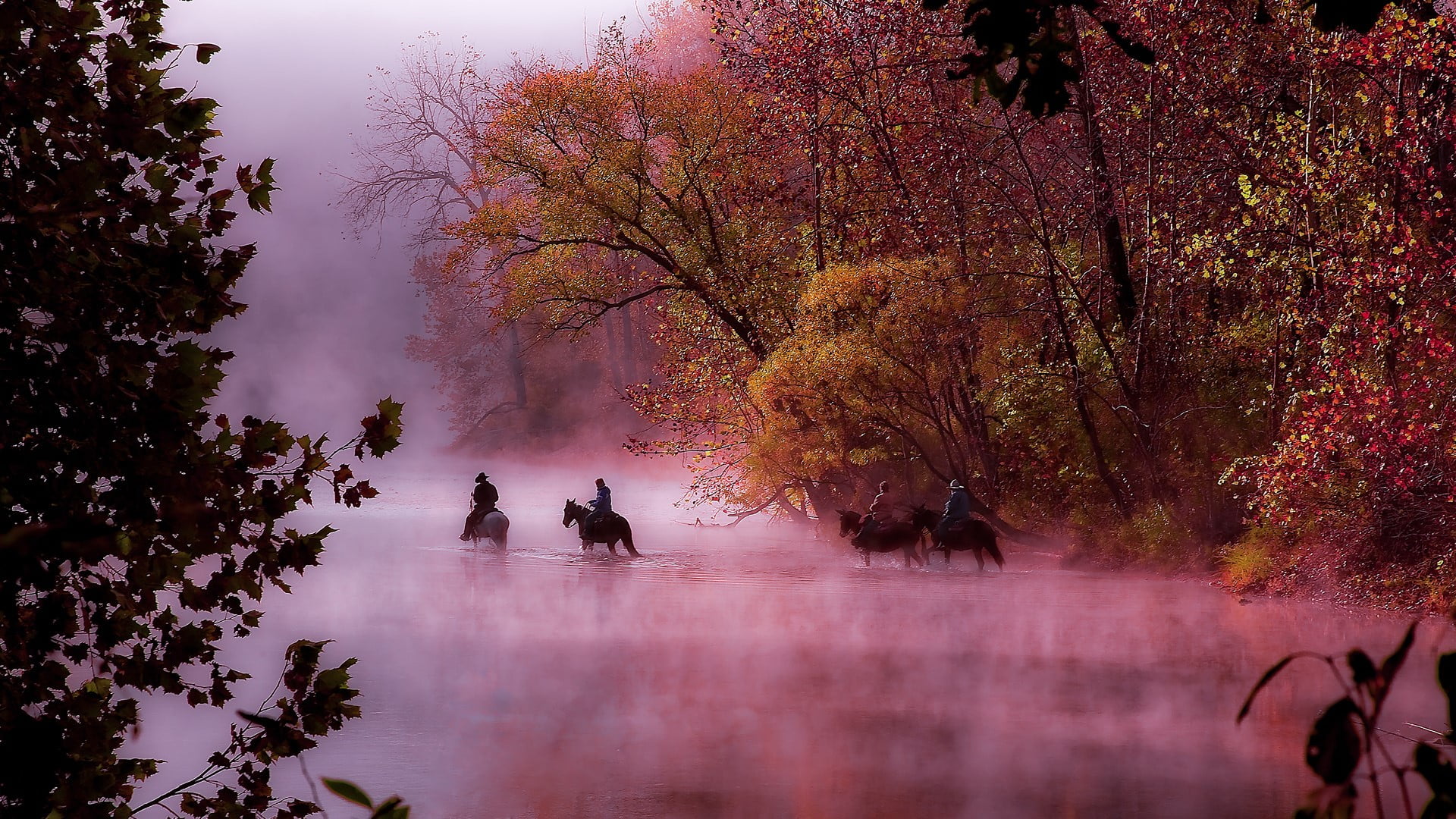 horseman, water ripples, forest, trees, Missouri, USA, water, mist, Lake of the Ozarks, nature, river, landscape, 1080P, horse, HD Wallpaper
