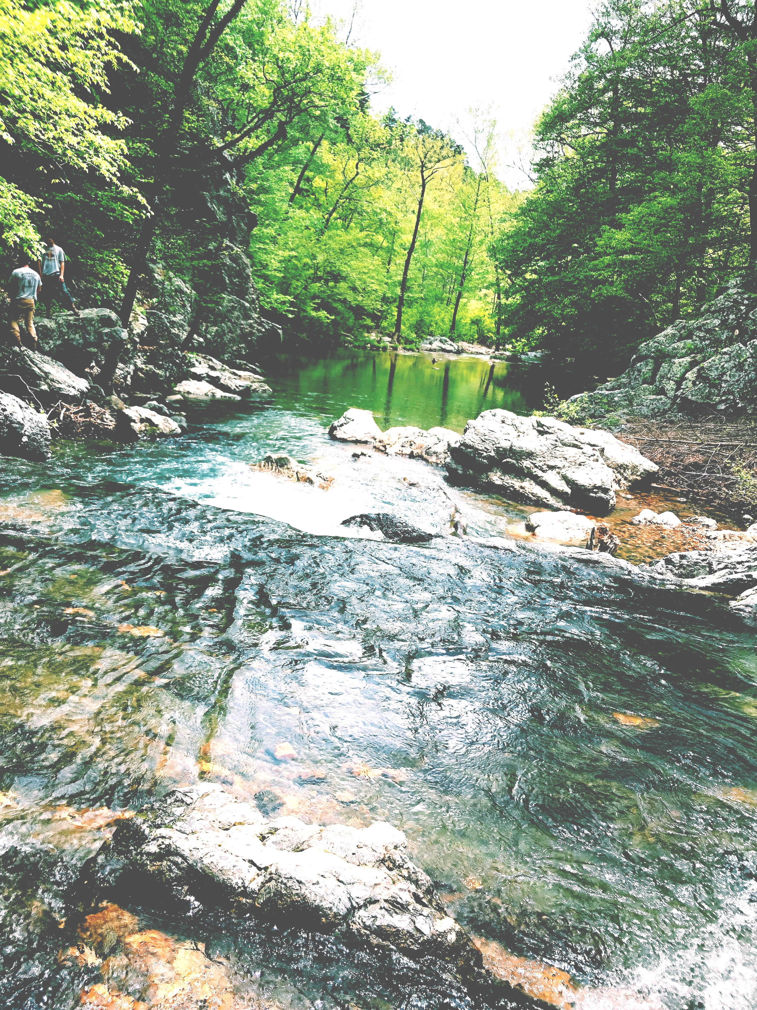 human, plant, nature, little missouri trail, cottage, 4K, person, river, creek, housing, rock, flowing water, non-urban scene, forest, no people, building, Phone HD Wallpaper