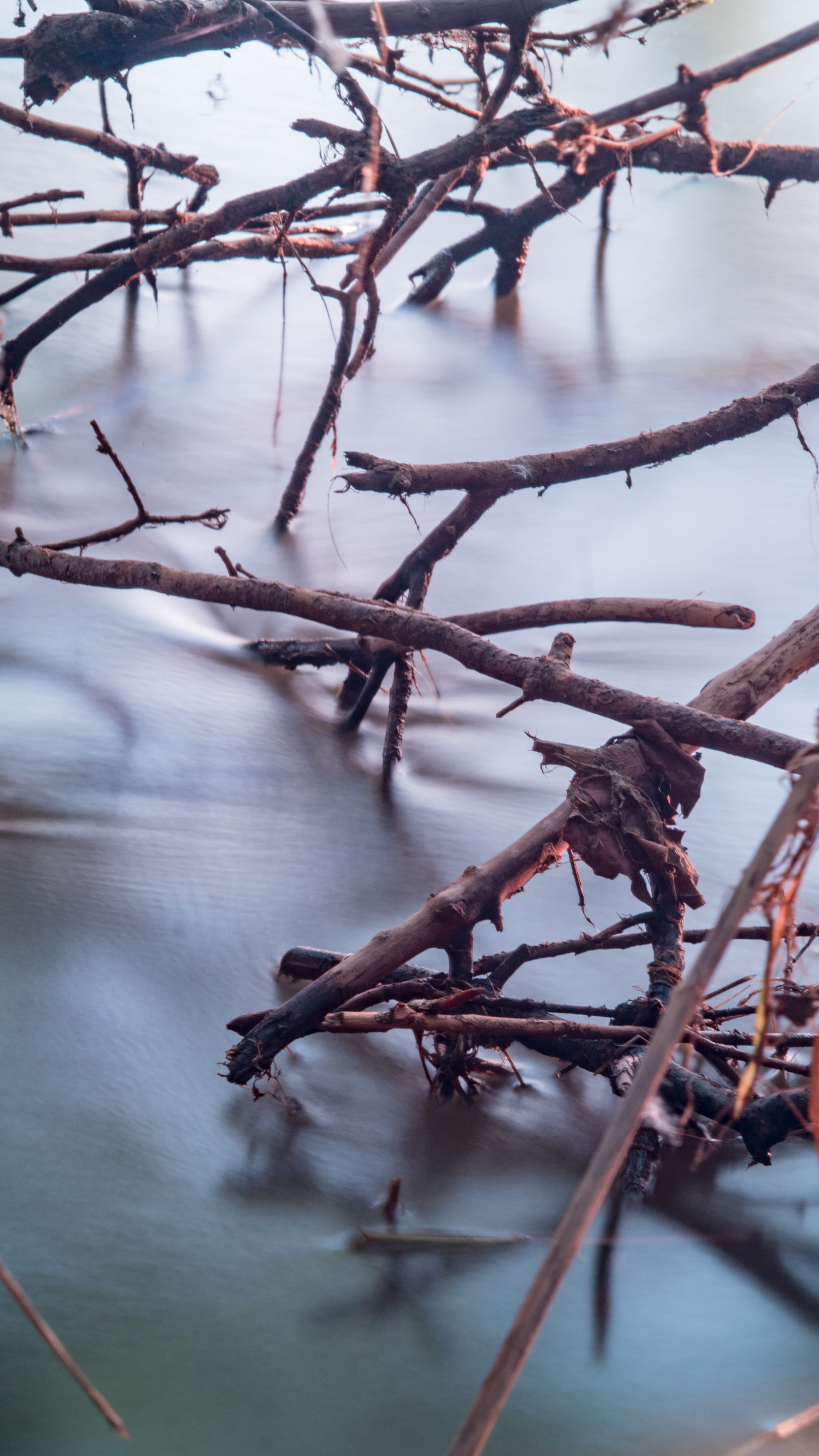 cold temperature, focus on foreground, morning, river bank, smooth, tranquil scene, bank, water, nebraska, no people, beauty in nature, day, nature, river, Phone HD Wallpaper