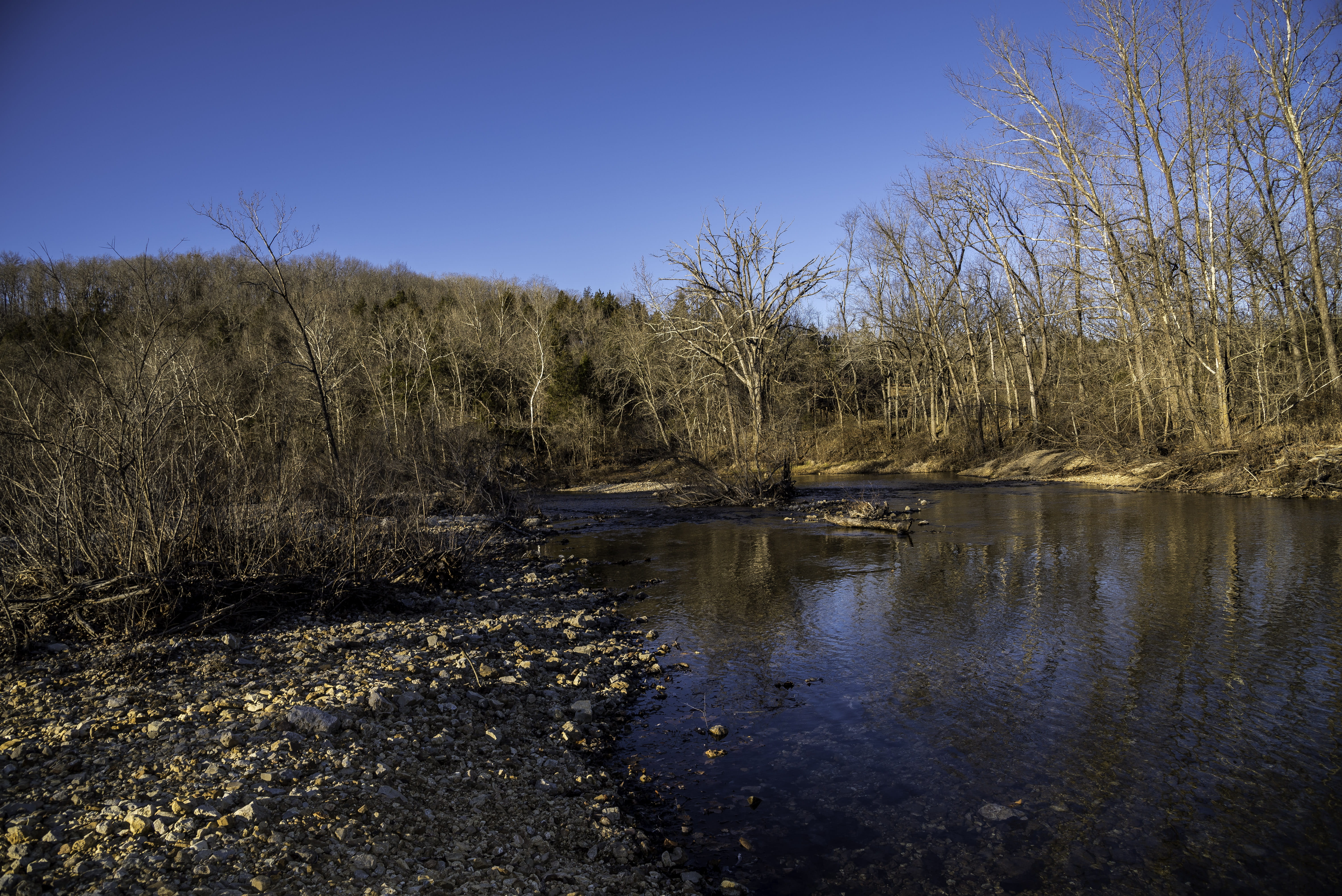 landscapes, water, Echo, Missouri, Current River, Bluff, plant, scenics, current, bare tree, non-urban scene, swamp, nature, marsh, day, photos, tree, Shoreline, HD Wallpaper