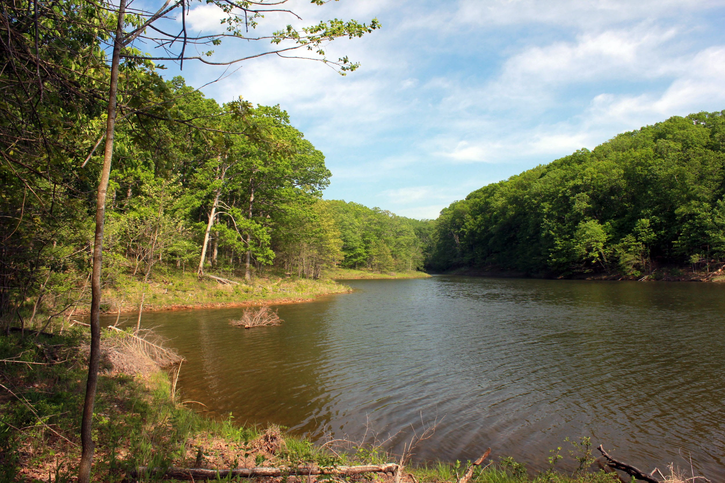 nature, growth, tree, cloud - sky, land, beauty in nature, sky, 1080P, idyllic, day, river, lake, forest, tranquility, state park, Water, outdoors, green color, HD Wallpaper