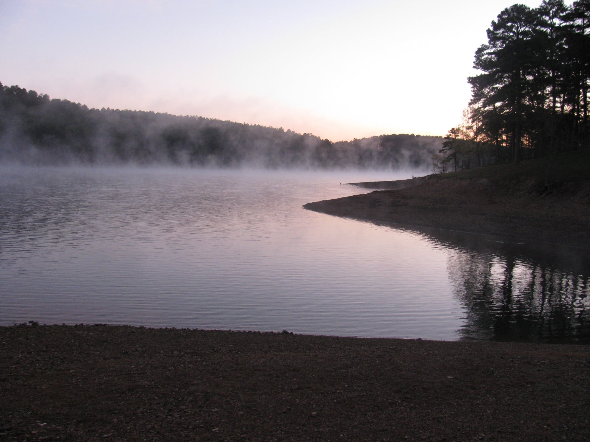 plant, lake, environment, missouri river, river, land, outdoors, clouds, tranquility, morning, 1080P, forest, no people, tree, skyline, water, fog, beauty in nature, HD Wallpaper