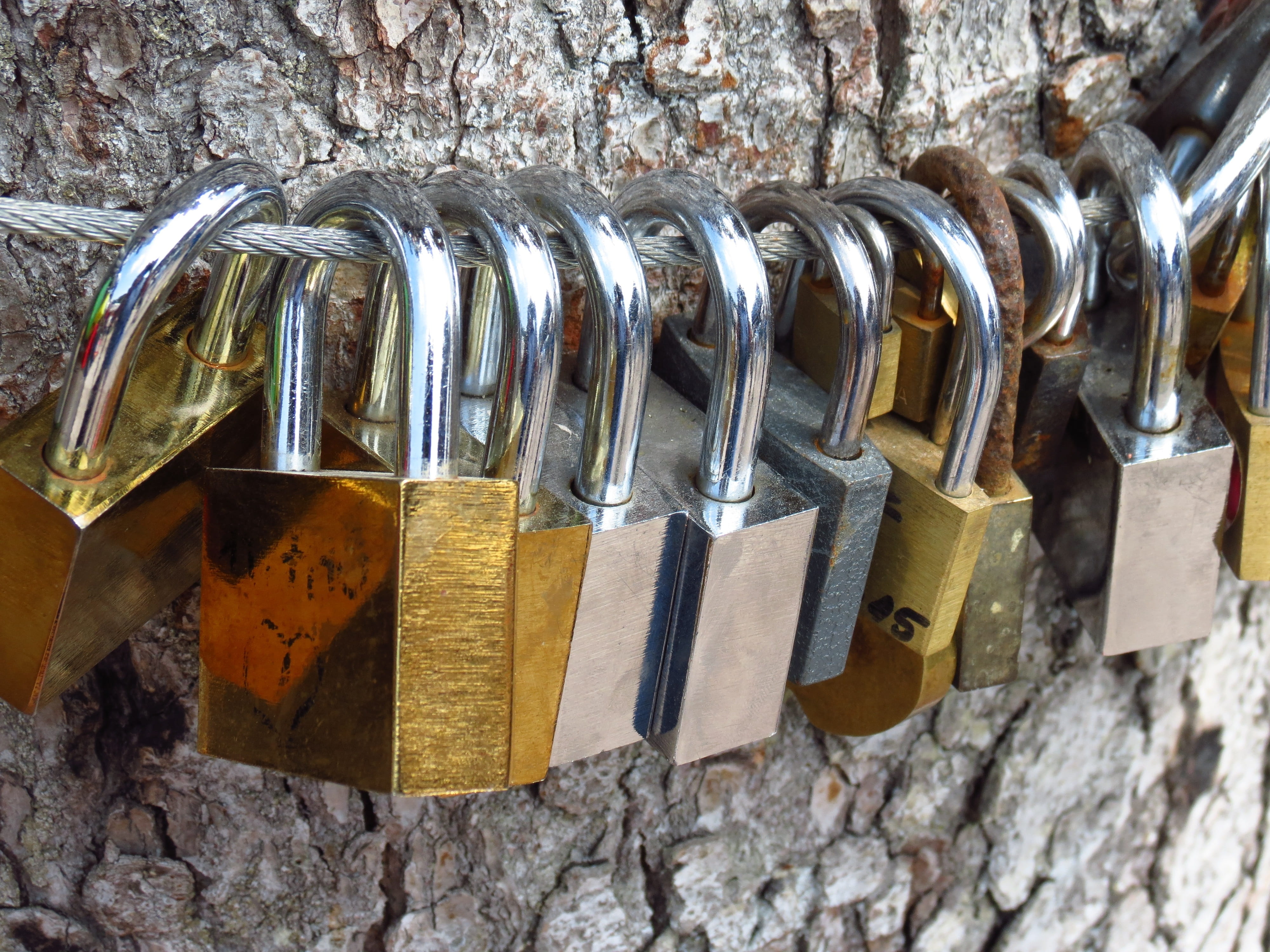 promise, silver colored, padlock, Tree, feelings, liebesbeweis, day, love, security, protection, selective focus, indoors, wood - material, padlocks, metal, HD Wallpaper
