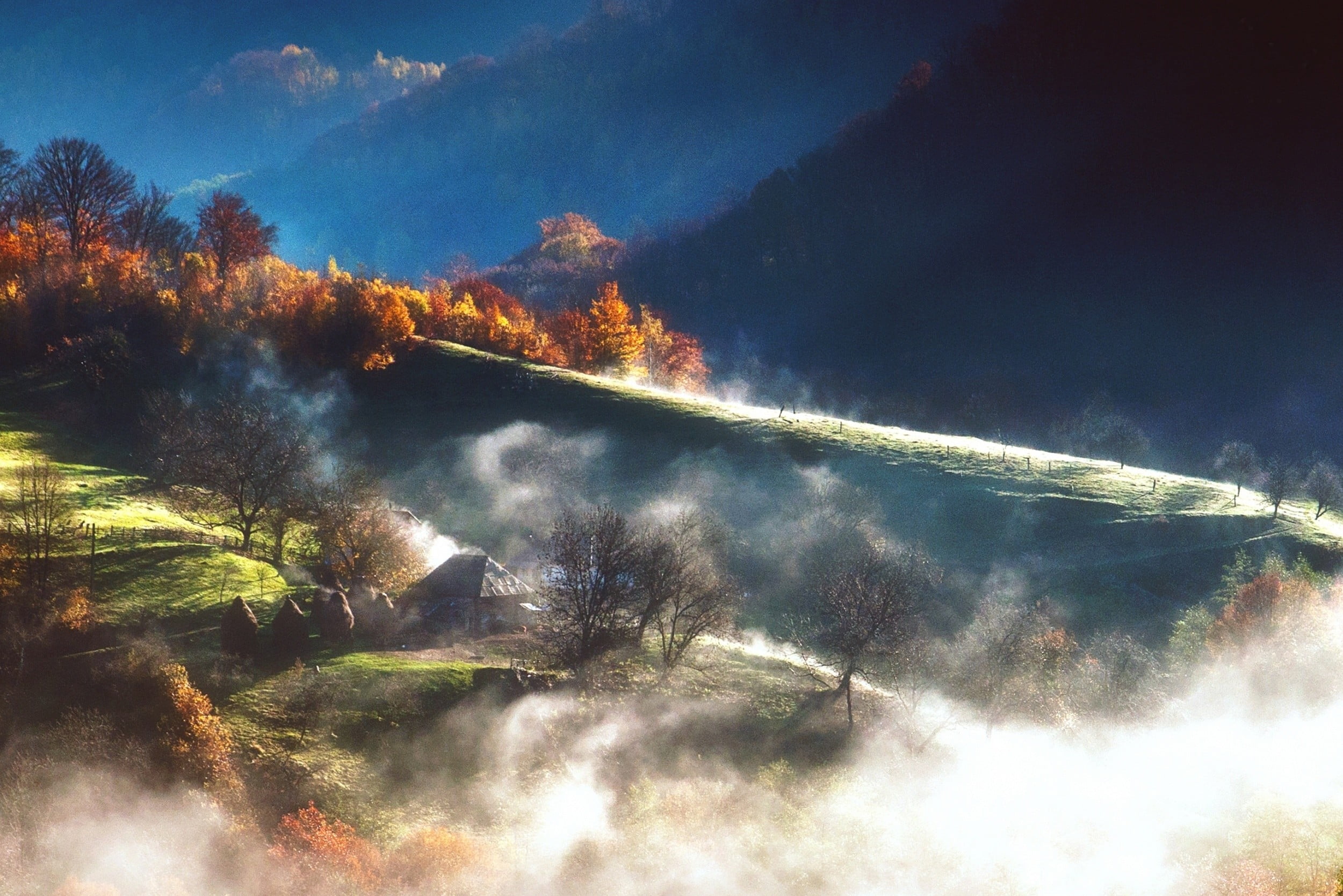outdoors, forest, sky, lake, dawn, sunset, autumn, no people, mountain, idyllic, nature, photographed, rural Scene, sun, growth, blue, beauty In Nature, HD Wallpaper
