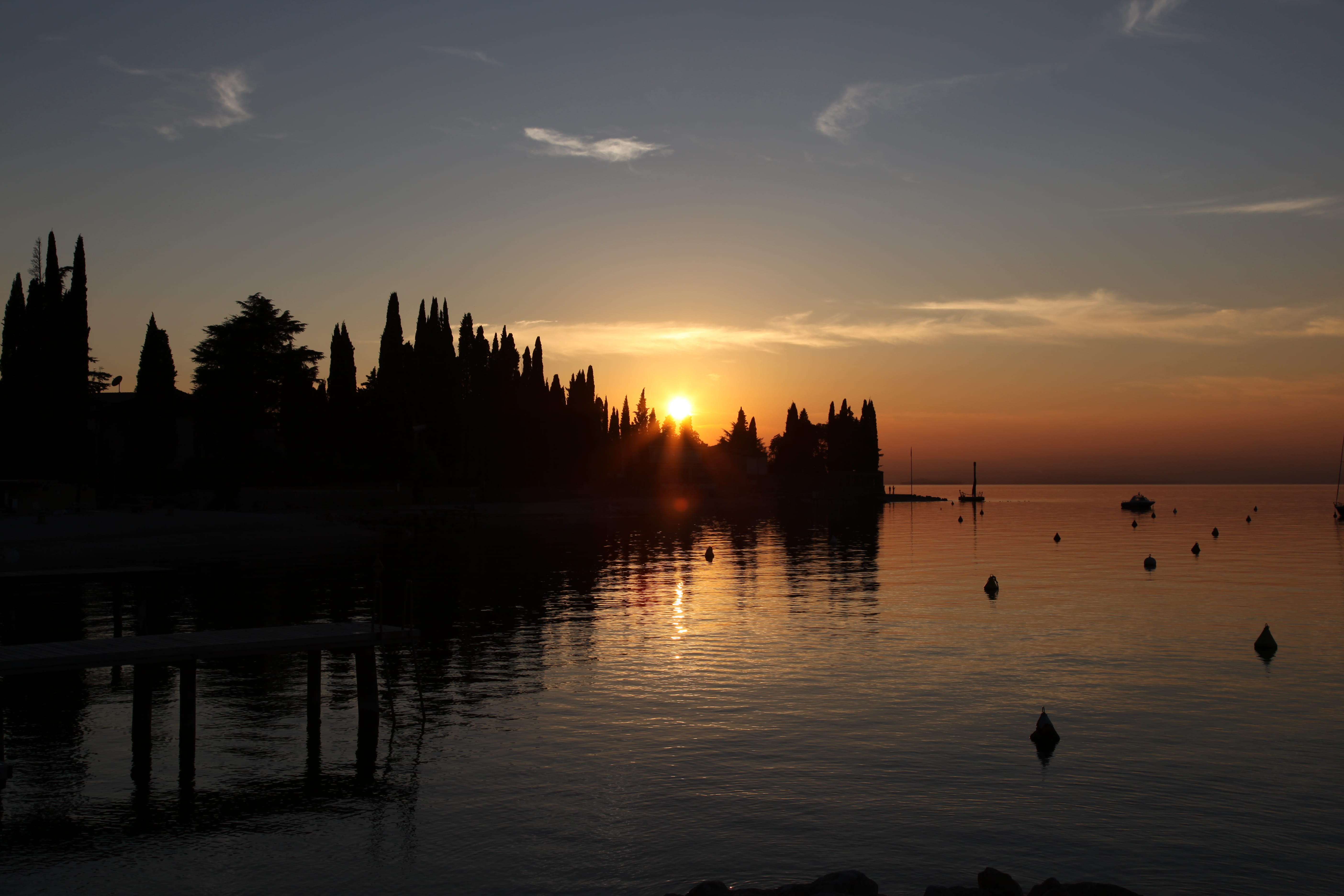 bird, lago di garda, lake, italy, trees, sunshine, sun, water, no people, idyllic, 5K, animals in the wild, beauty in nature, silhouette, cloud - sky, HD Wallpaper