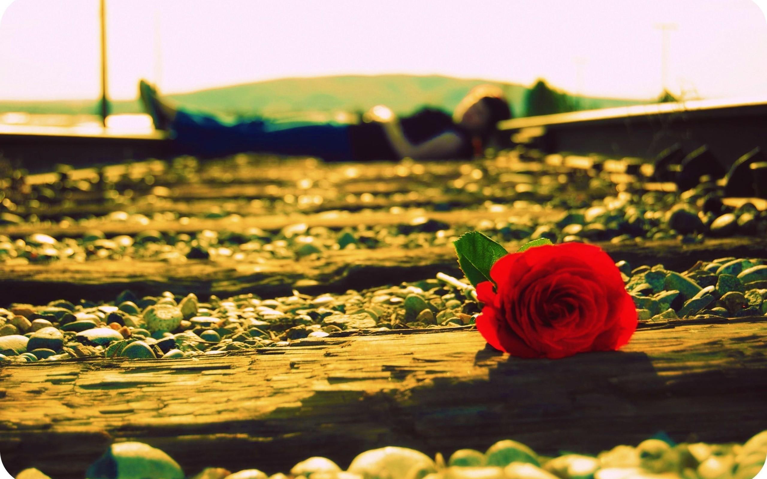 road, 2K, binary, life, 3d and abstract, red rose, girl, moments, love, passionate, train, HD Wallpaper