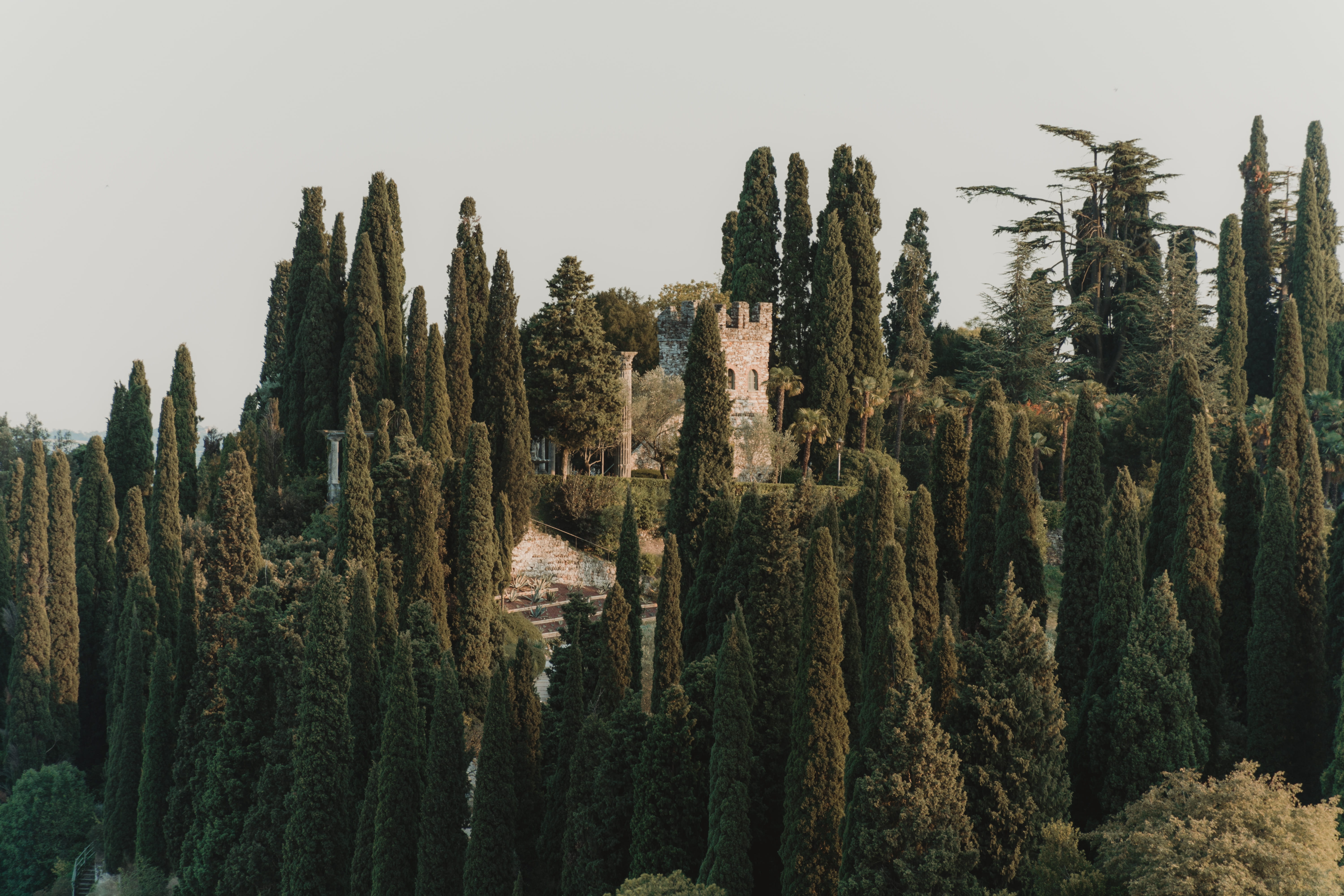 woodland, land, no people, 5K, trees, scenics - nature, garda lake, forest, growth, beauty in nature, clear sky, lake garda, tranquility, plant, sky, landscape, HD Wallpaper