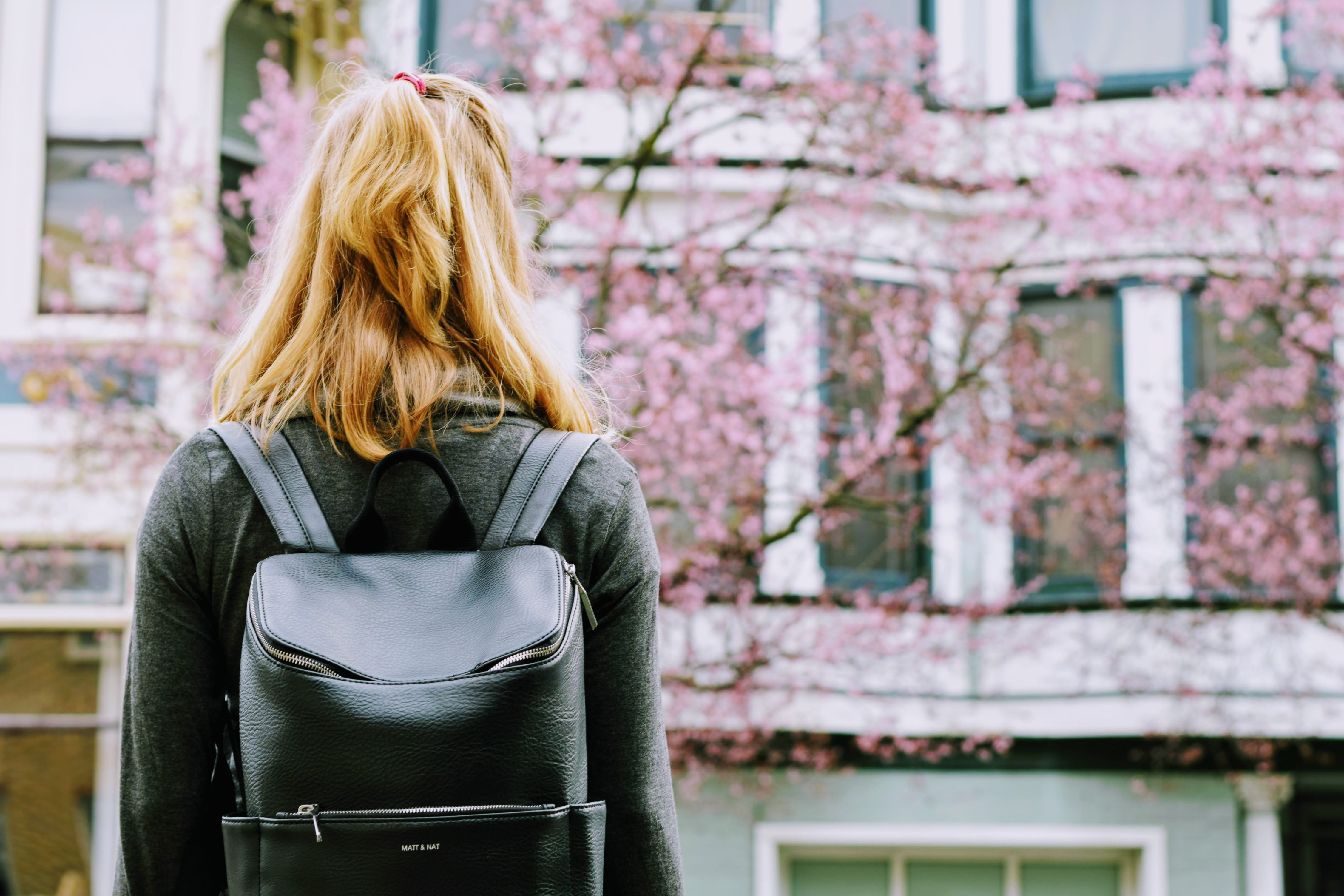 flower, backpack, cherry blossom, front, street, flowers, plant, pretty, day, flora, hair, back view, long hair, standing, focus on foreground, waist up, HD Wallpaper