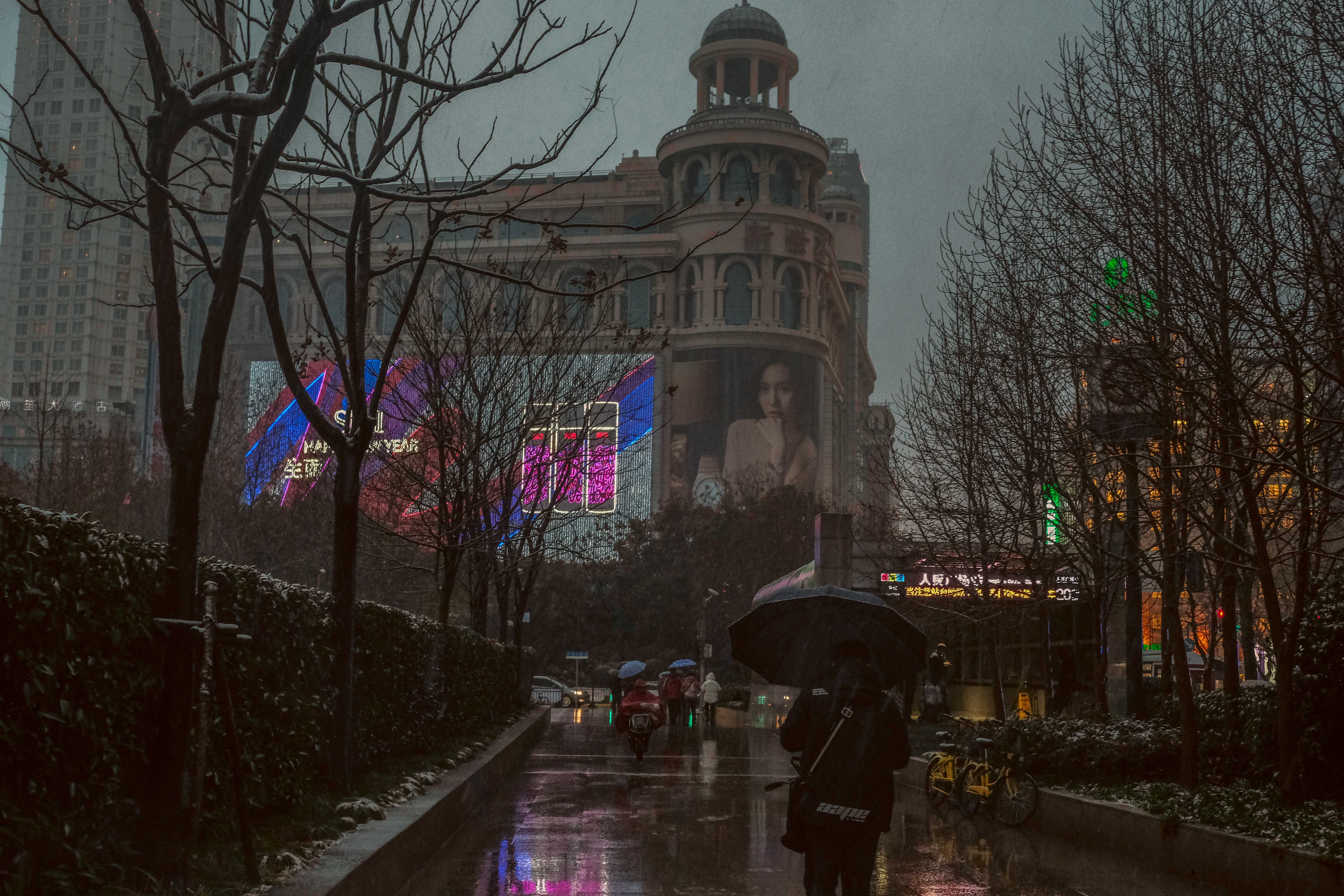 china, real people, tree, the way forward, outdoors, architecture, bare tree, rainy season, 5K, built structure, people, nature, umbrella, shanghai, street, HD Wallpaper