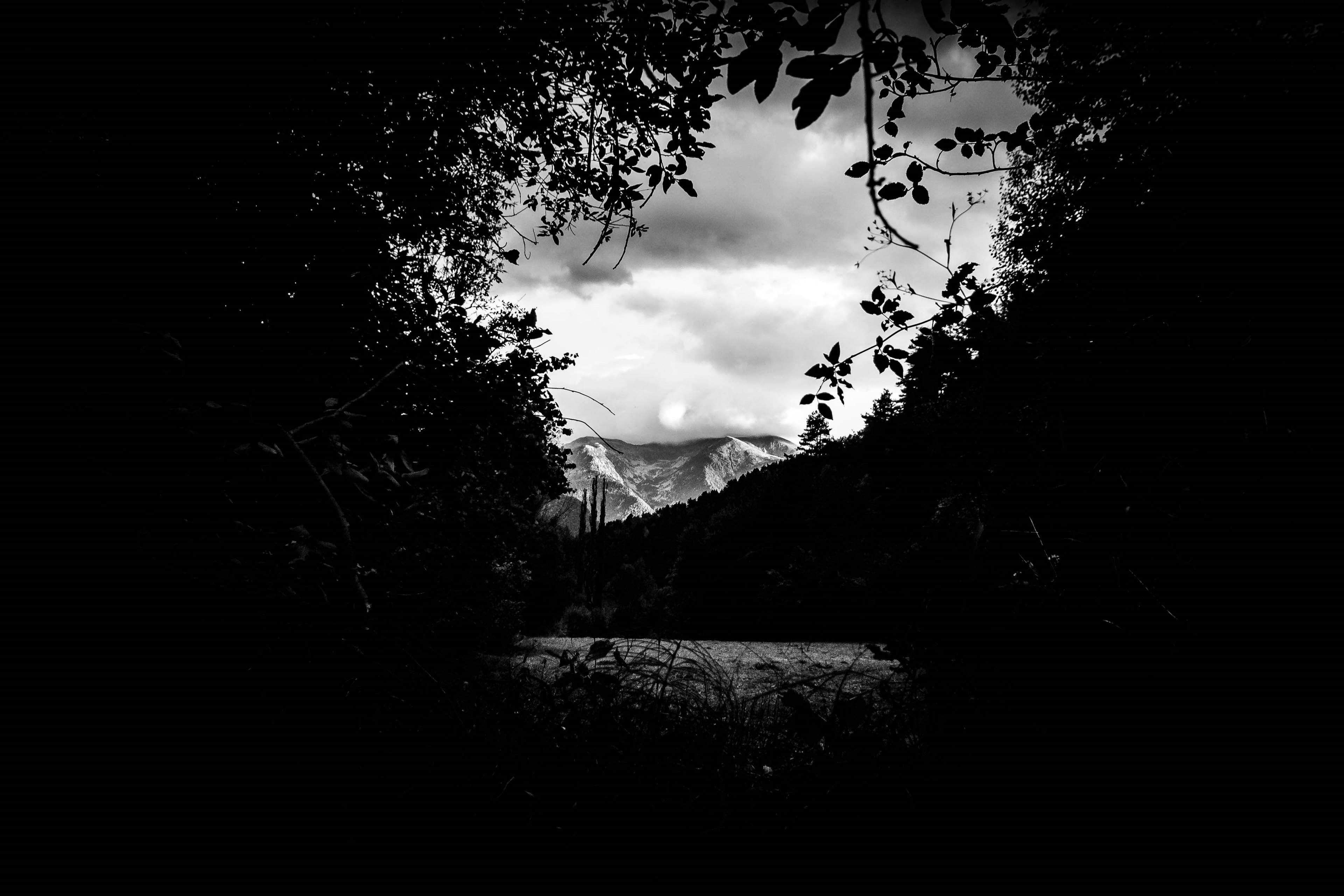 mountain, no people, clouds, away, trees, cloud - sky, day, trou, water, paysage, 4K, scenery, branches, distance, far, branch, low angle view, tranquility, HD Wallpaper