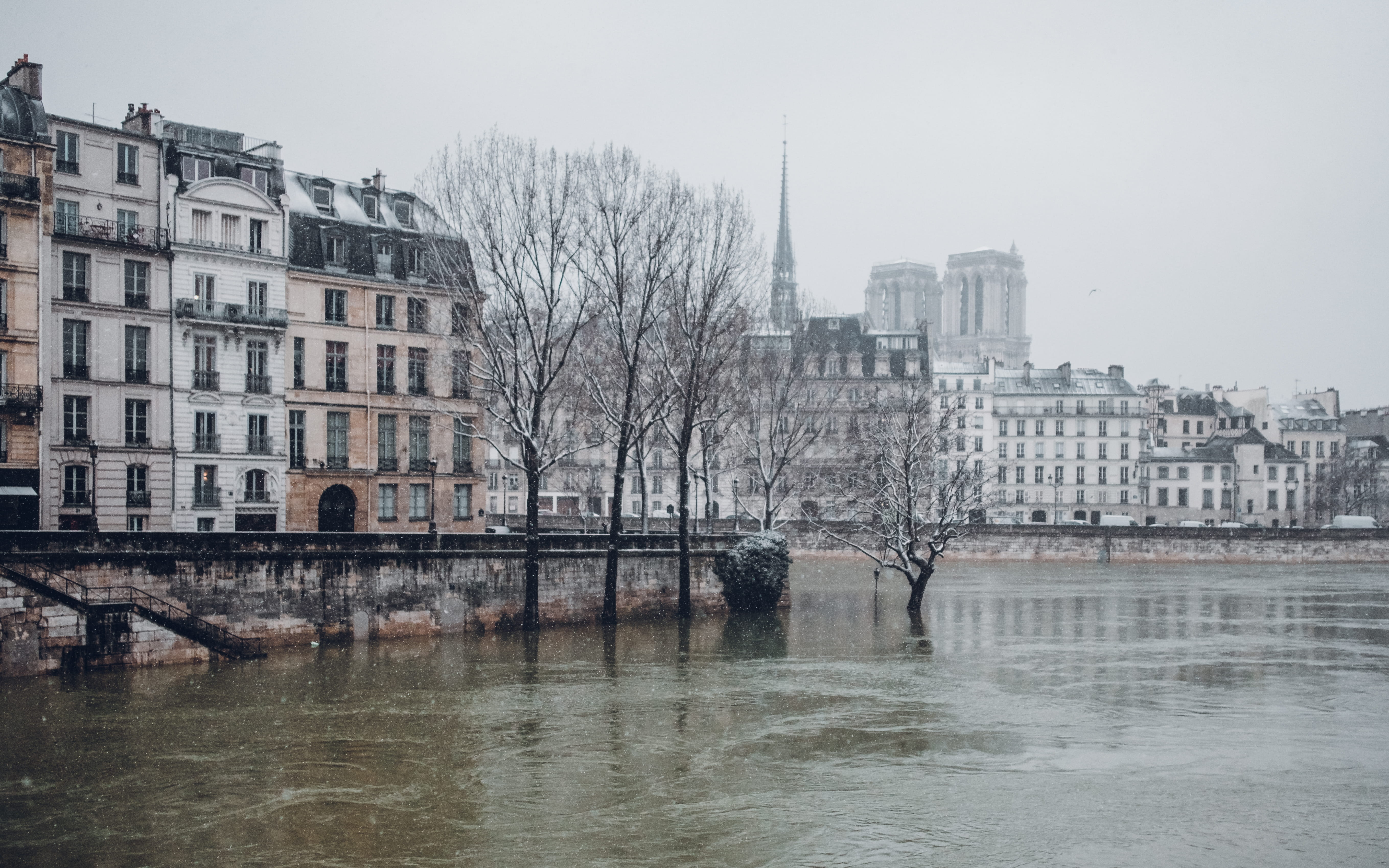 nature, paris, residential district, day, city life, banks, water, fujifilm, iconic, notre dame, connection, river, neige, tree, flood, wintertime, winter, HD Wallpaper