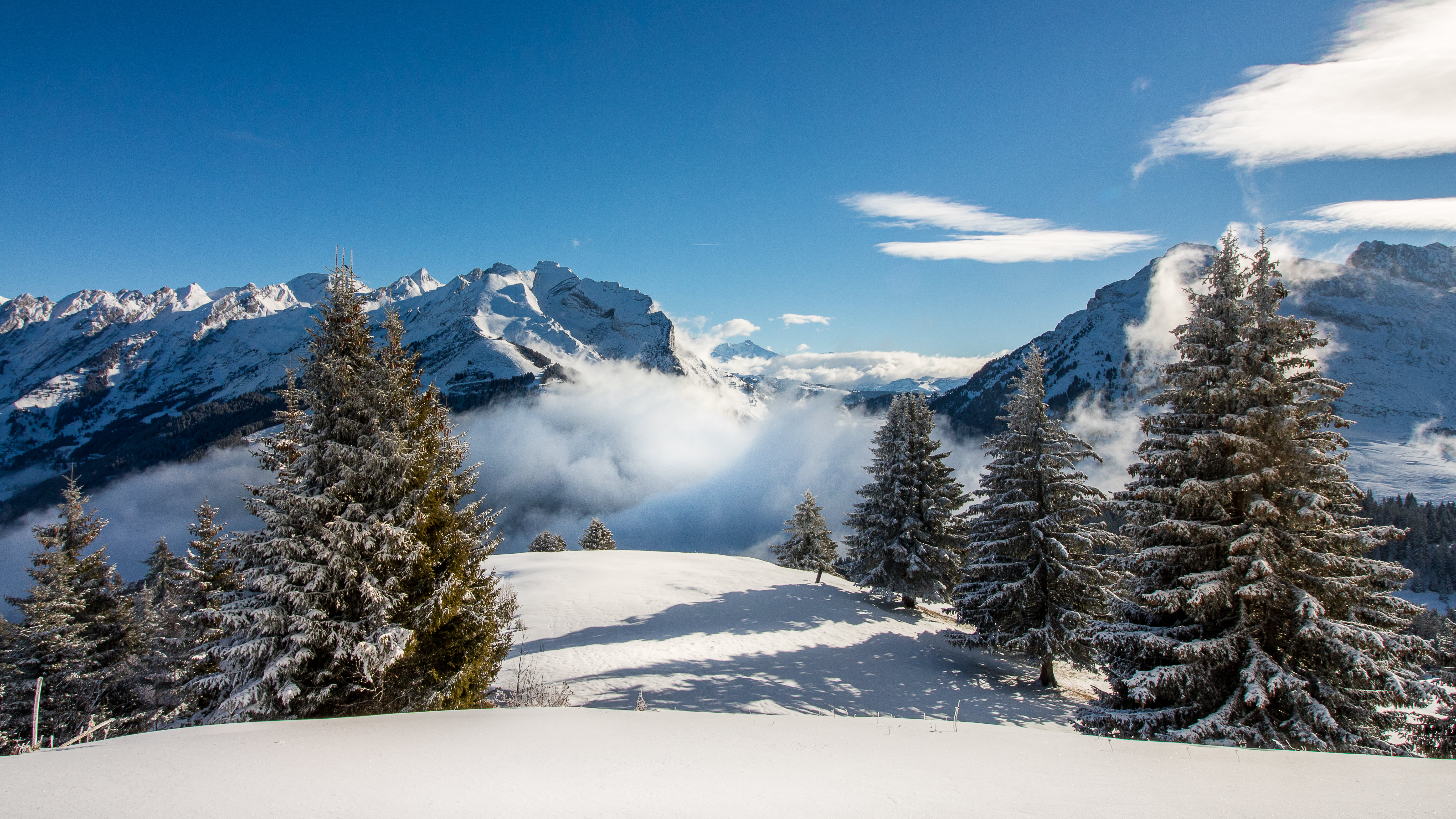 winter, la, blue, trees, european Alps, outdoors, pine, covered, snow, photo, La Clusaz, neige, Haute Savoie, daytime, Landscape, Auvergne Rhône Alpes, HD Wallpaper