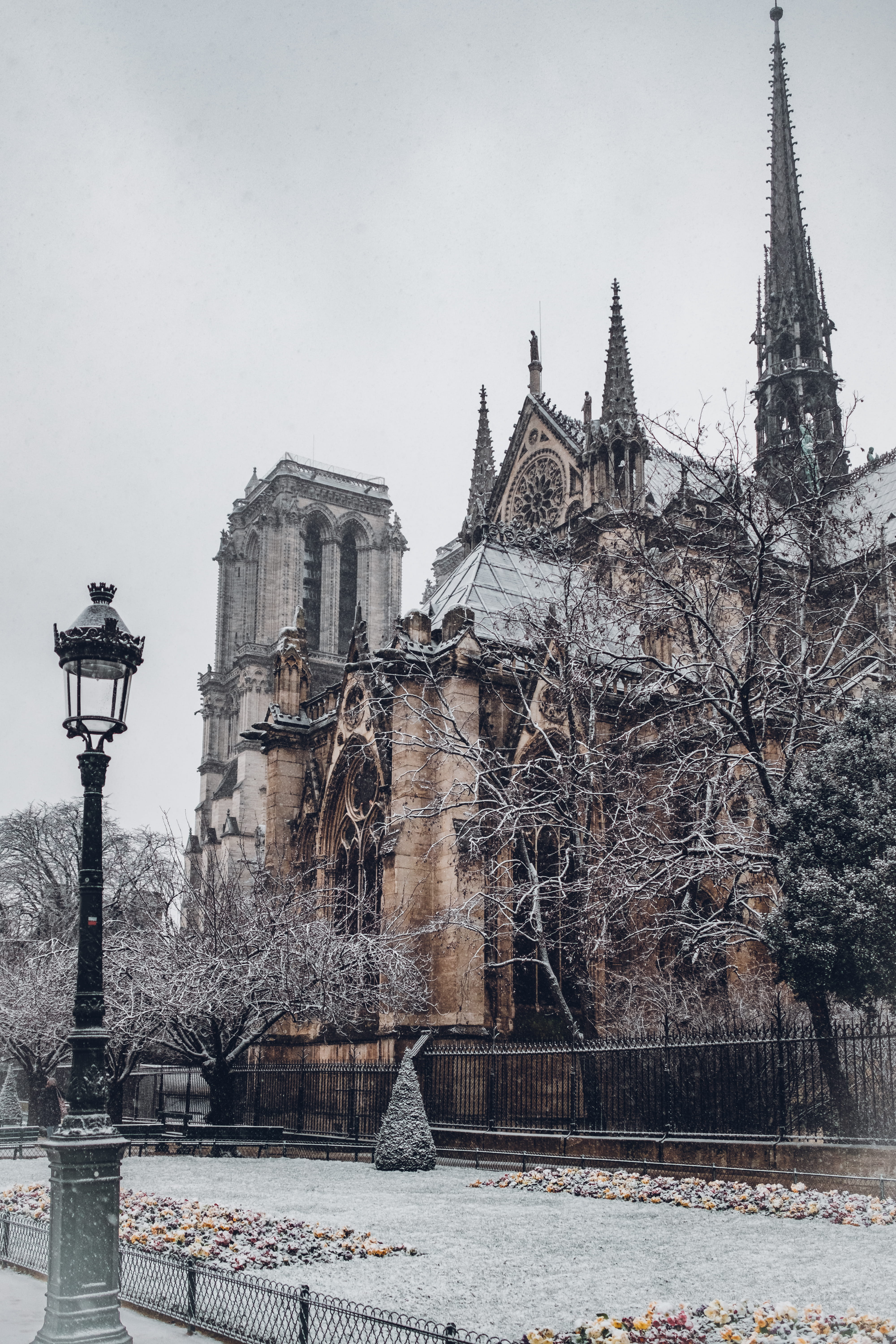outdoors, 5K, building exterior, tree, travel destinations, no people, france, building, cathedral, hiver, street light, tourism, city, paris, beautiful, Phone HD Wallpaper