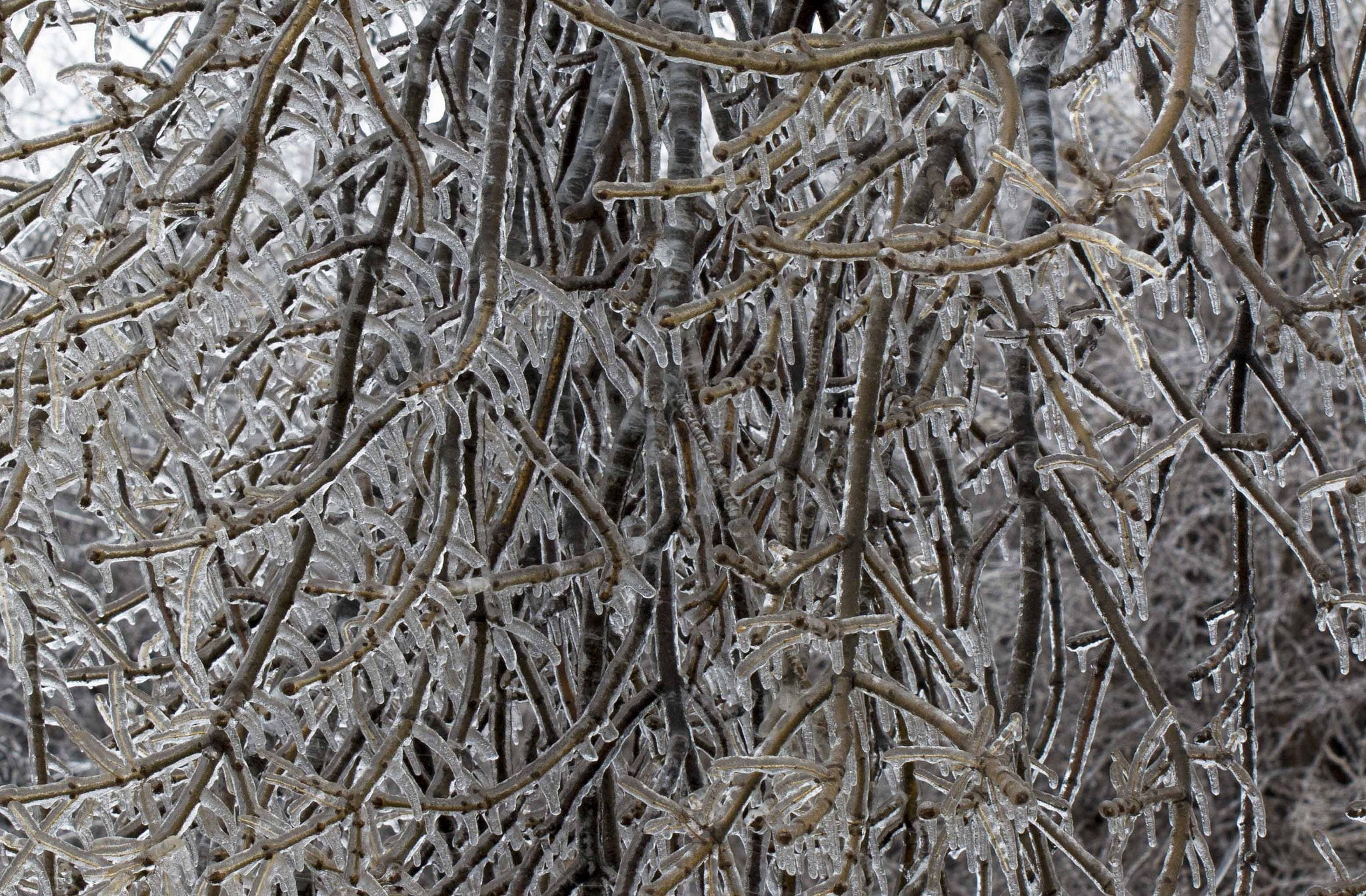hiver, montagne, 1080P, nature, snow, landscapes, frozen, winter, neige, HD Wallpaper