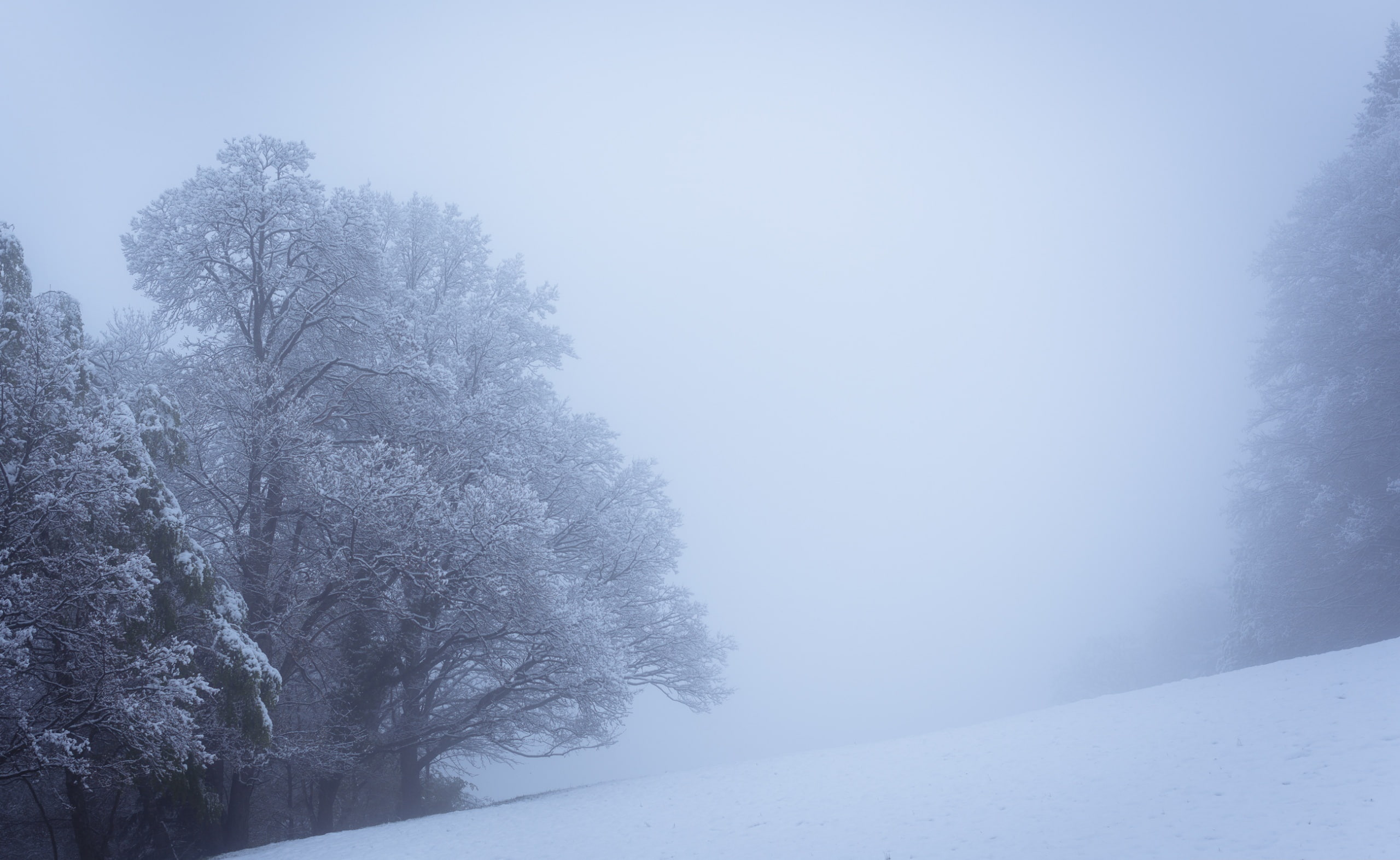 Vosges, Hautes Vosges, Lightroom, Simple, Mountain, Snow, Winter, Europe, April, Scenery, Landscape, 2K, 50mm 1.4, Mist, paysage, D810, nikon, fog, CoveredSky, HD Wallpaper