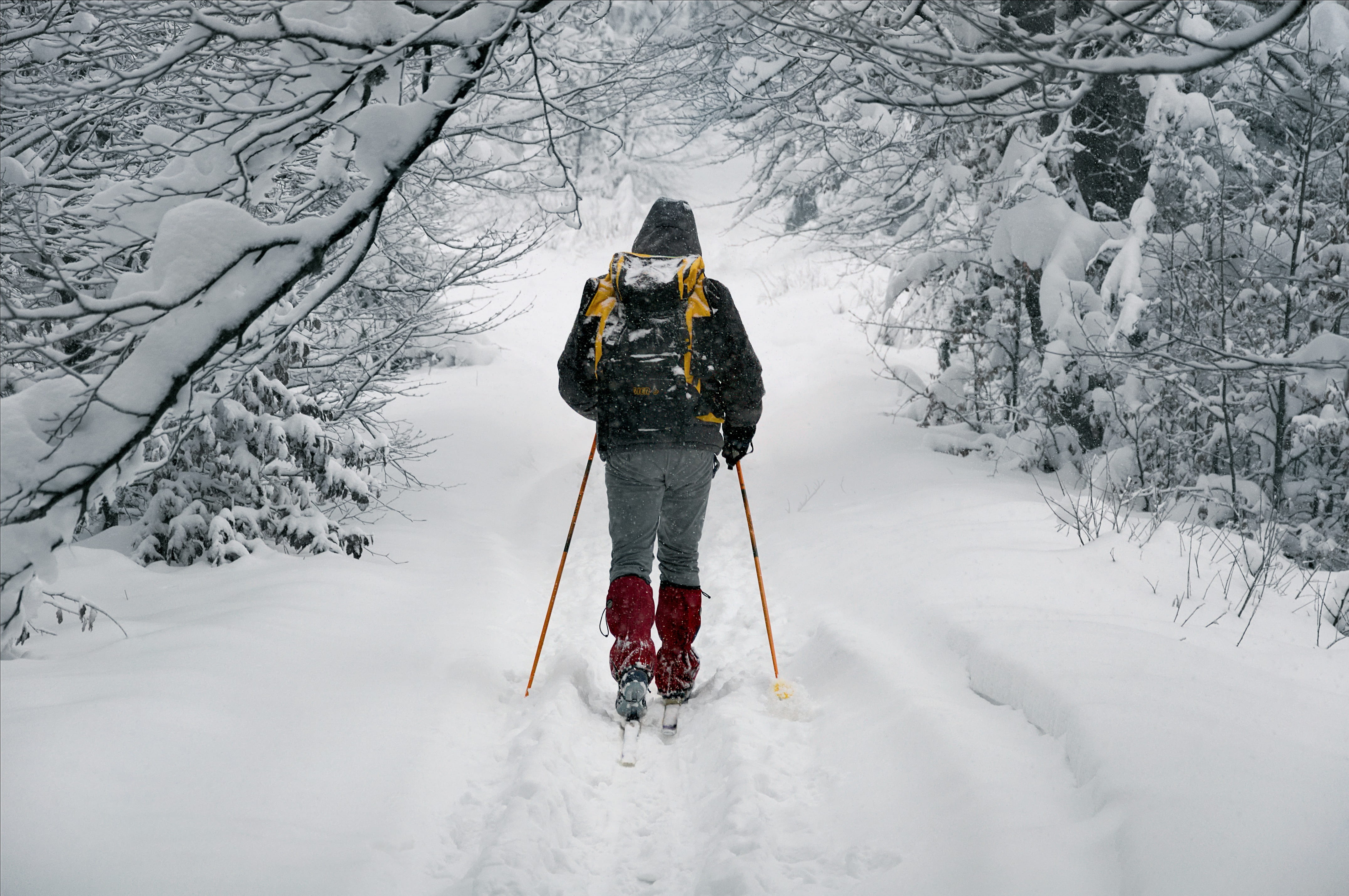 beauty in nature, hooded, plant, outdoors, skier, rear view, clothing, bubble, jacket, walking, forest, way, tourism, scenics - nature, adventure, cold, HD Wallpaper