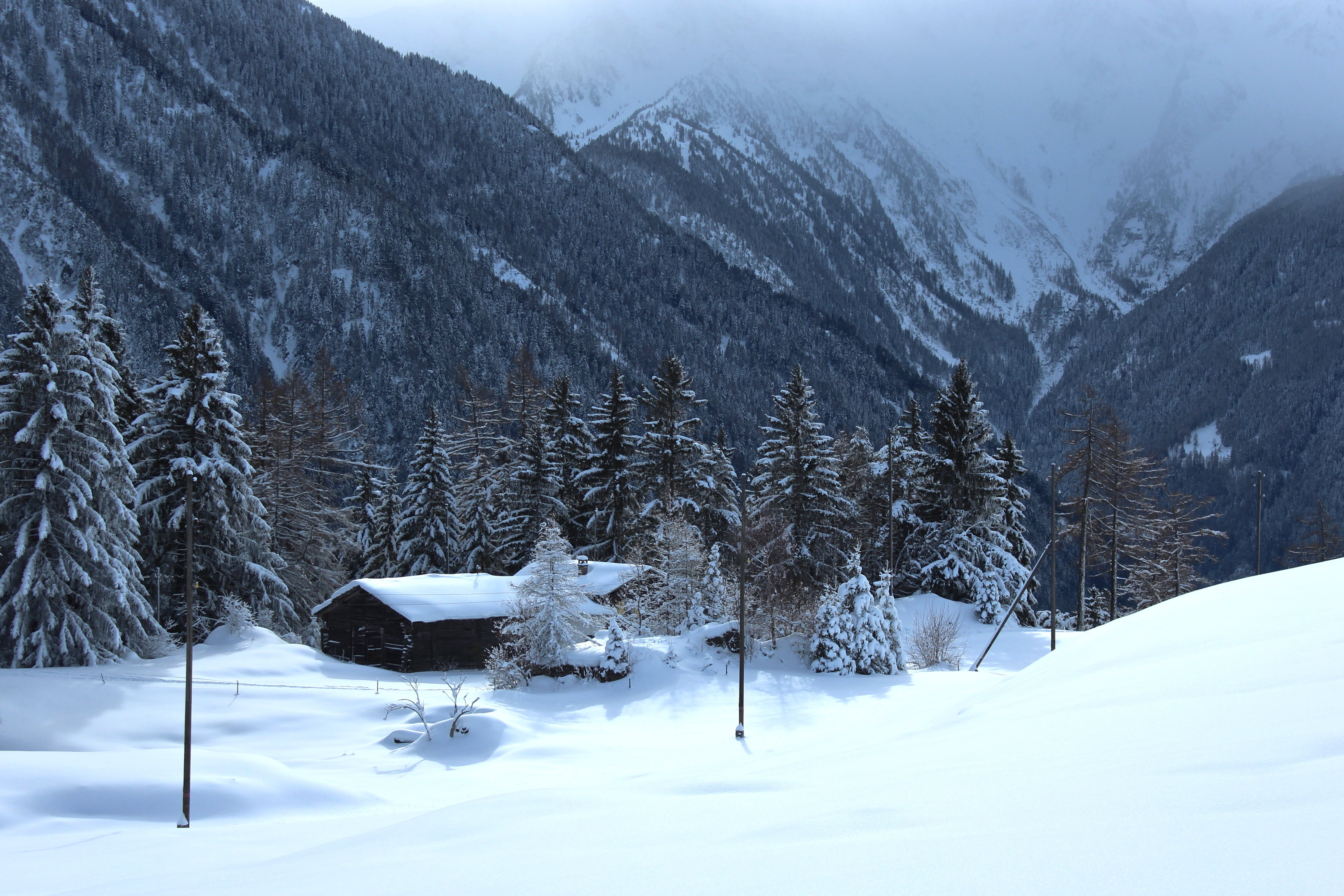 hiver, outdoors, 4K, season, tree, surrounded, black house, brume, european Alps, neige, nature, montagnes, winter, house, trees, sapins, mont, snow, black, HD Wallpaper