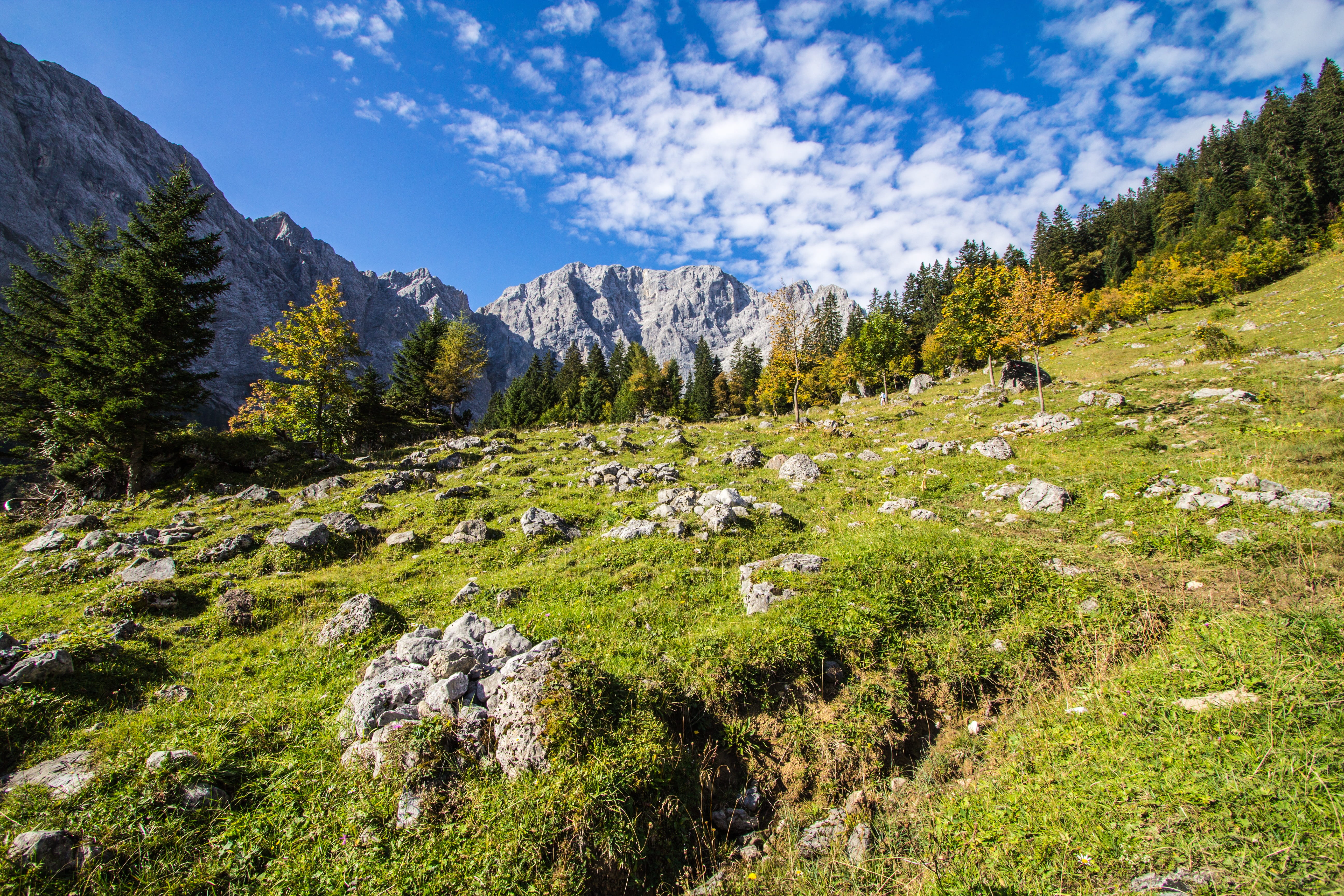 tranquility, Austria, scenics, european Alps, pine tree, environment, holiday, no People, coniferous tree, Karwendel, Mountains, scenics - nature, tree, HD Wallpaper