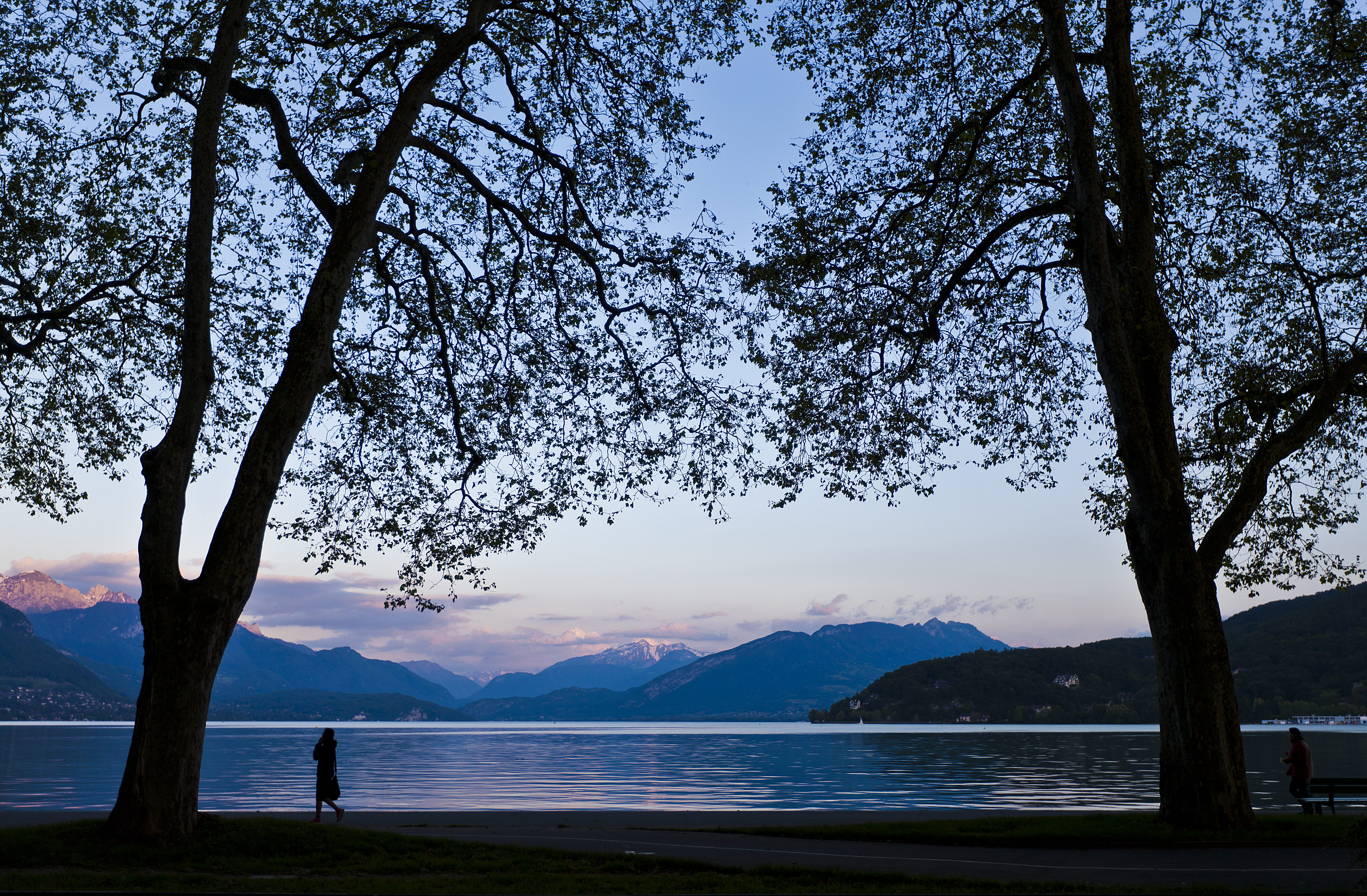alps, real people, one person, beauty in nature, tranquility, nature, lifestyles, growth, lake, 5K, annecy, water, branch, outdoors, non-urban scene, tree, HD Wallpaper