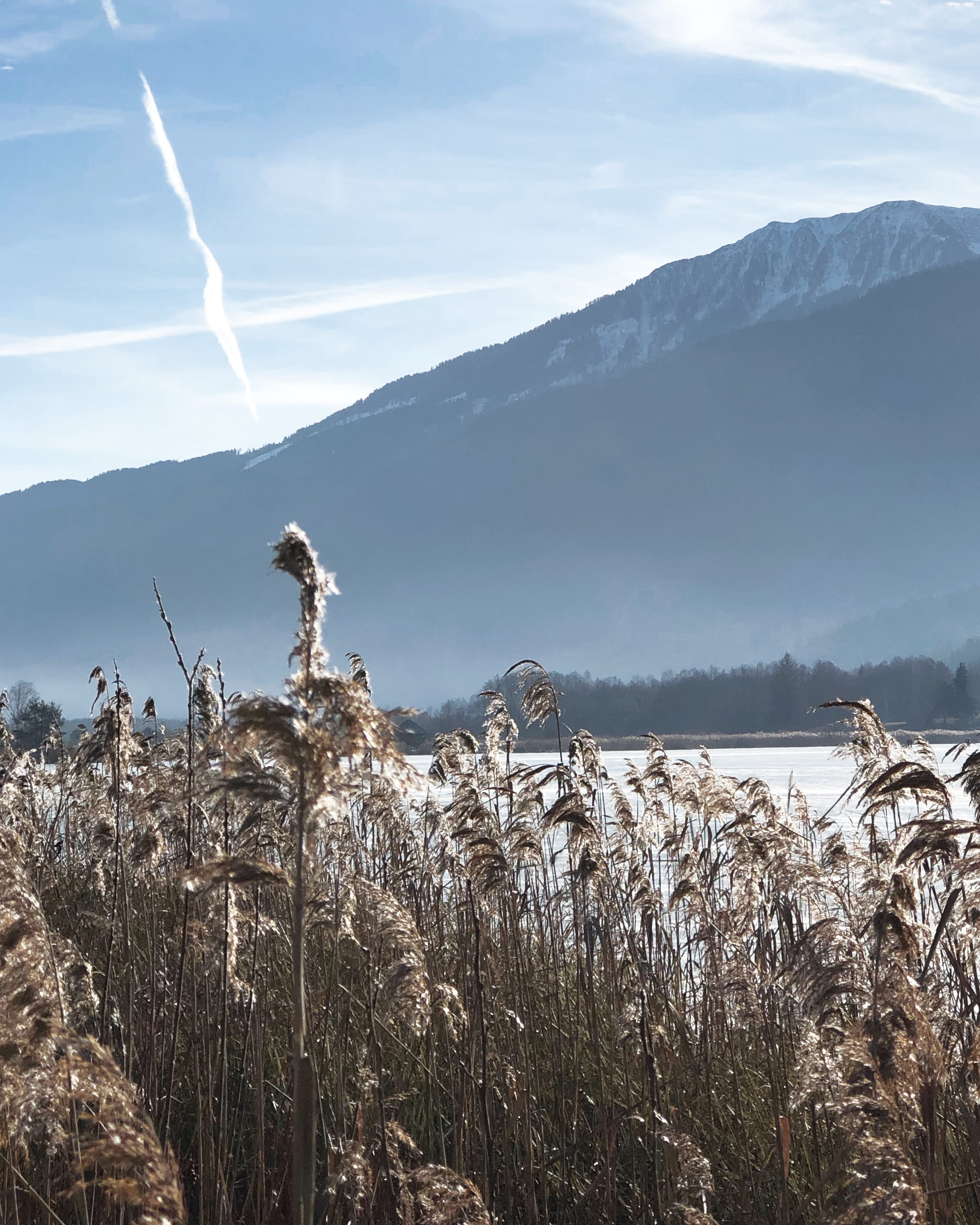 montagne, plant, non-urban scene, day, grass, ghiaccio, outdoors, mountain range, tranquil scene, mountain, cold temperature, winter, lawn, no people, 2K, Phone HD Wallpaper