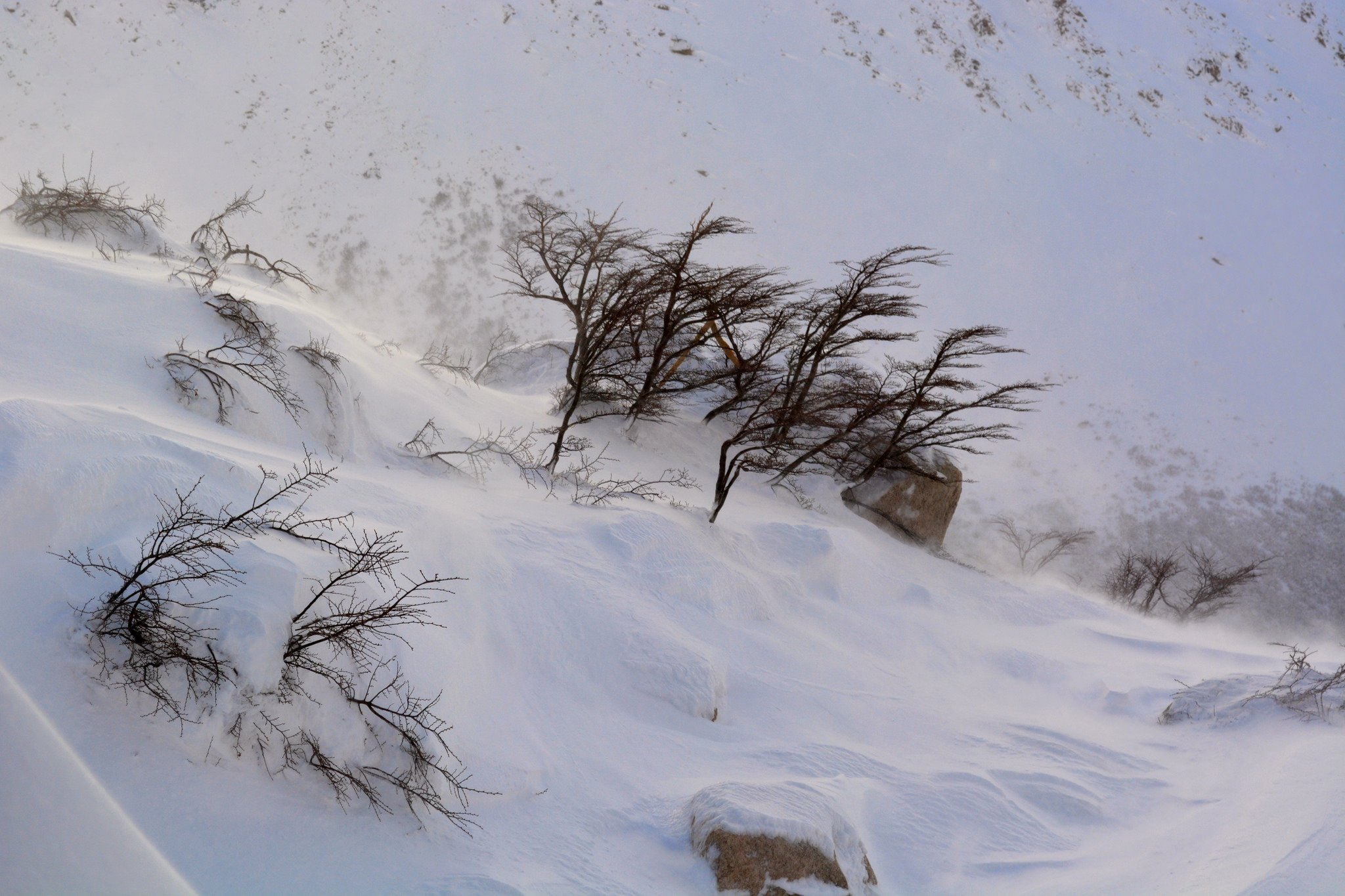 landscapes, winter, frozen, neige, 1080P, snow, montagne, hiver, nature, HD Wallpaper