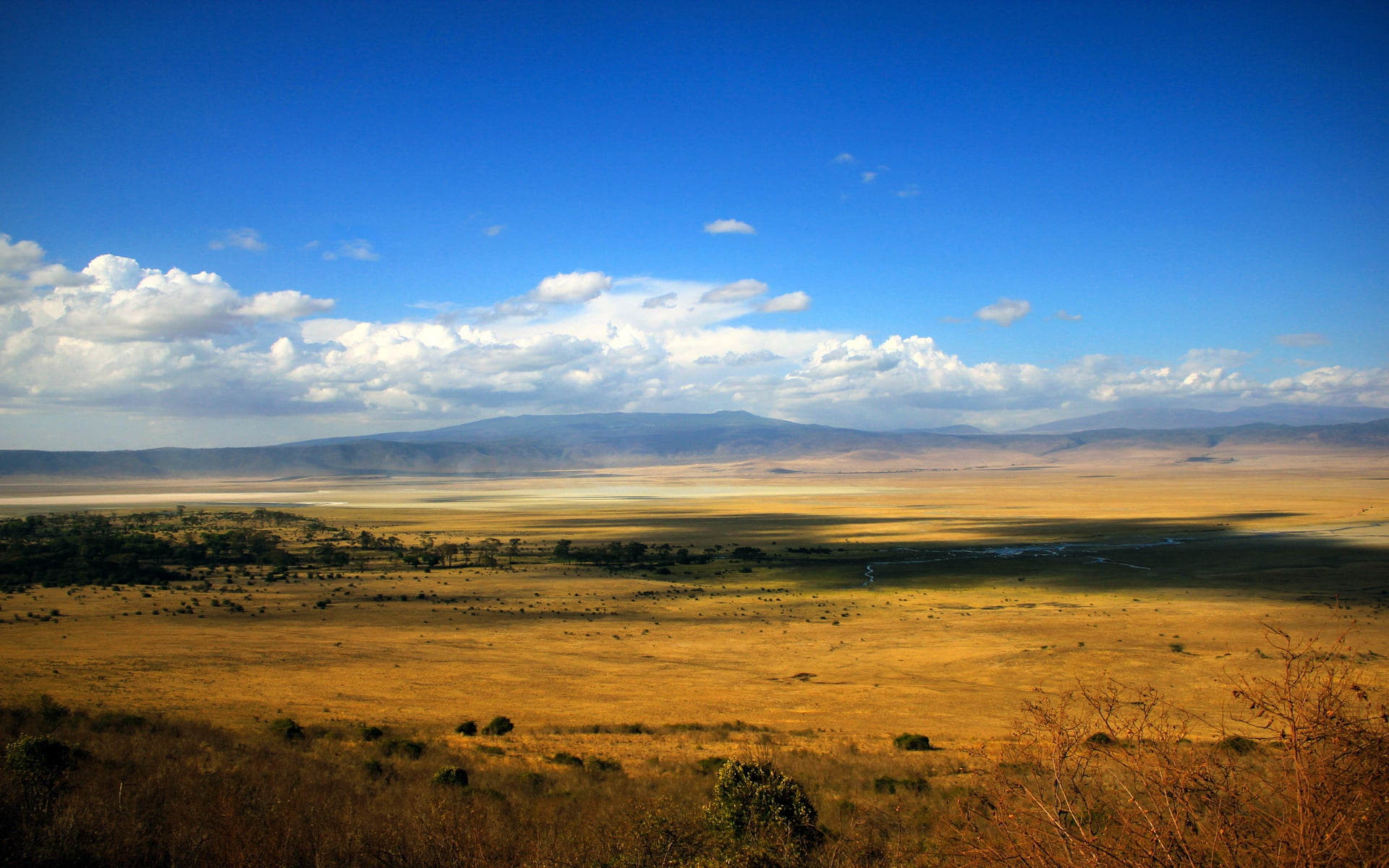 blue, cloudscape, scenics, white, national Park, savannah, travel Destinations, prairie, distance, panoramic, tranquil Scene, dry, independent Mongolia, HD Wallpaper