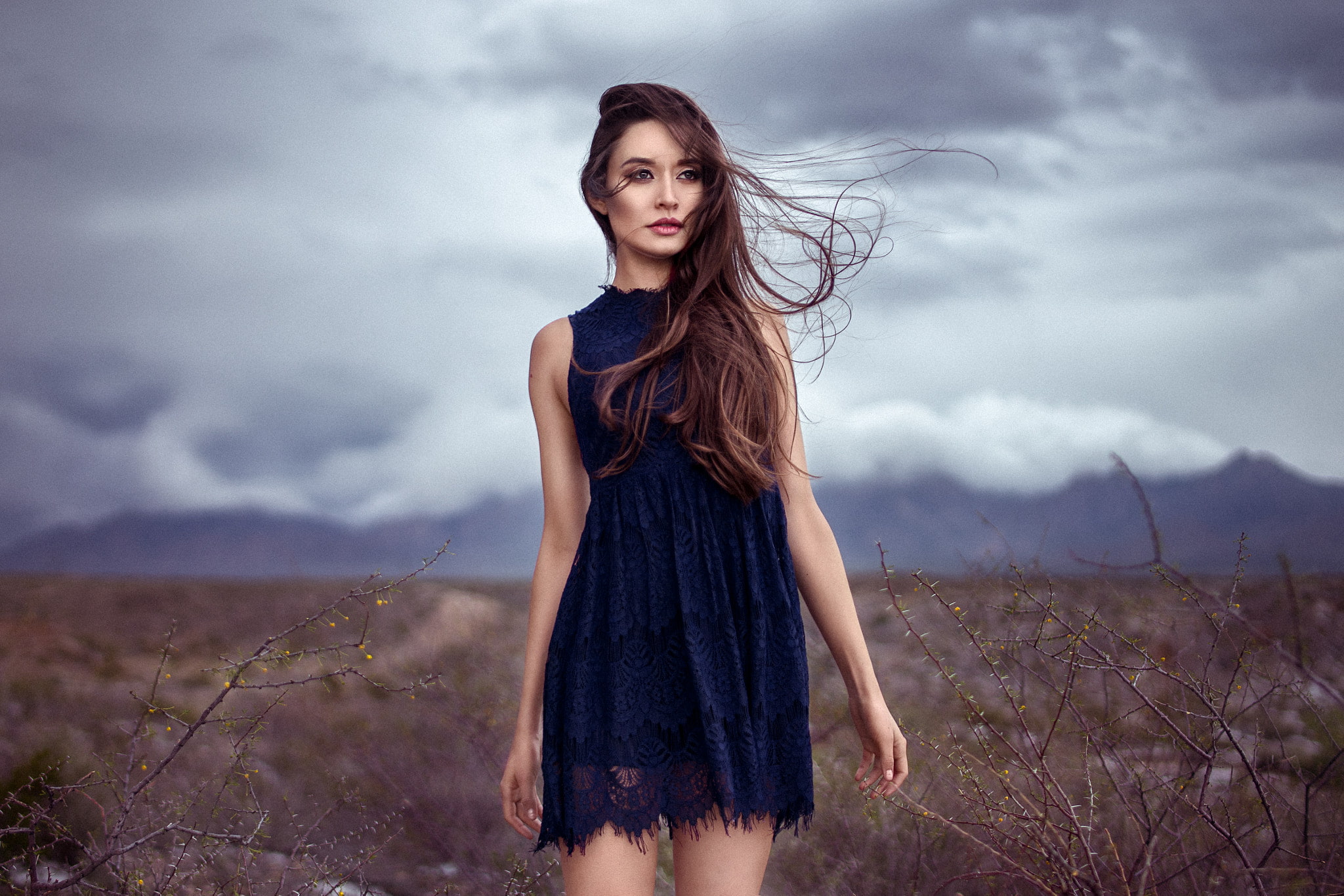 brown eyes, Sabrina Gomez, brunette, Robert Stebler, windy, looking into the distance, steppe, blue dress, 1080P, women, HD Wallpaper