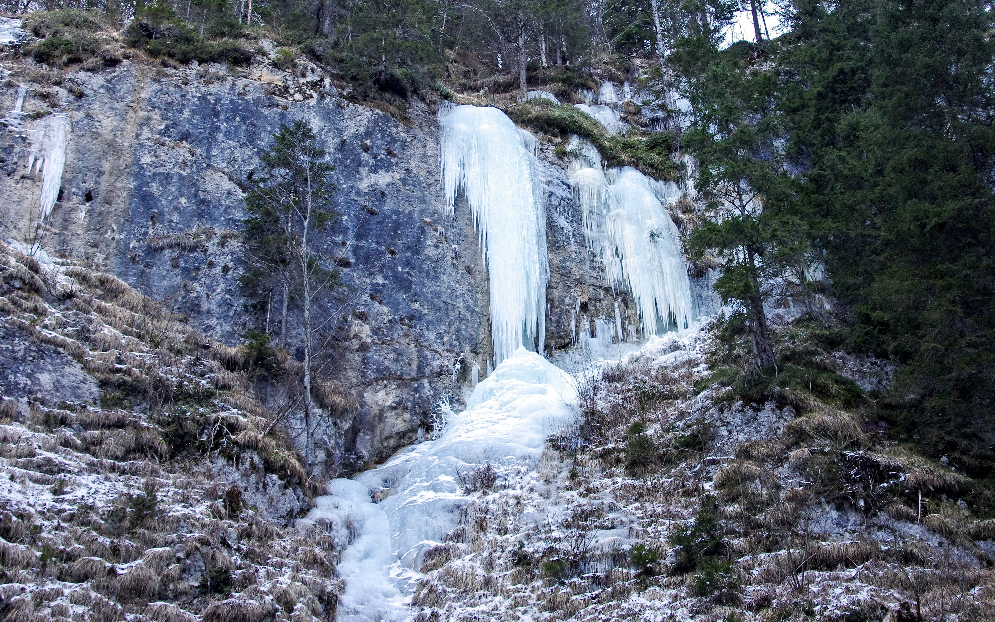 plant, waterfall, malga ciapela, marmolada, italy, sottoguda, snow, no people, tree, non-urban scene, outdoors, scenics - nature, rock - object, Di, flowing water, HD Wallpaper