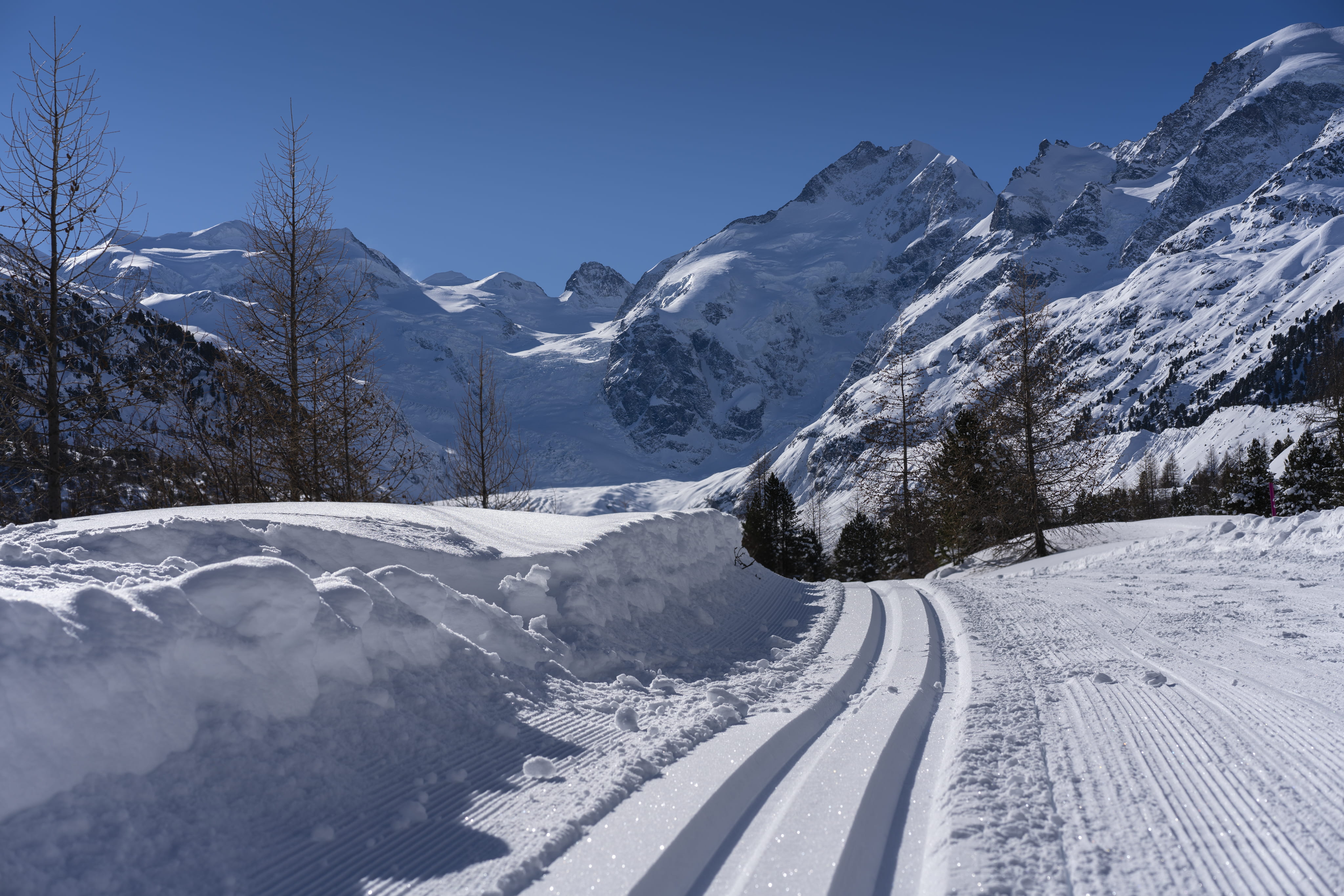 ice, sky, coated, switzerland, engadin, morteratsch glacier, environment, 4K, winter, tree, abies, nature, white color, cold temperature, covering, pontresina, HD Wallpaper