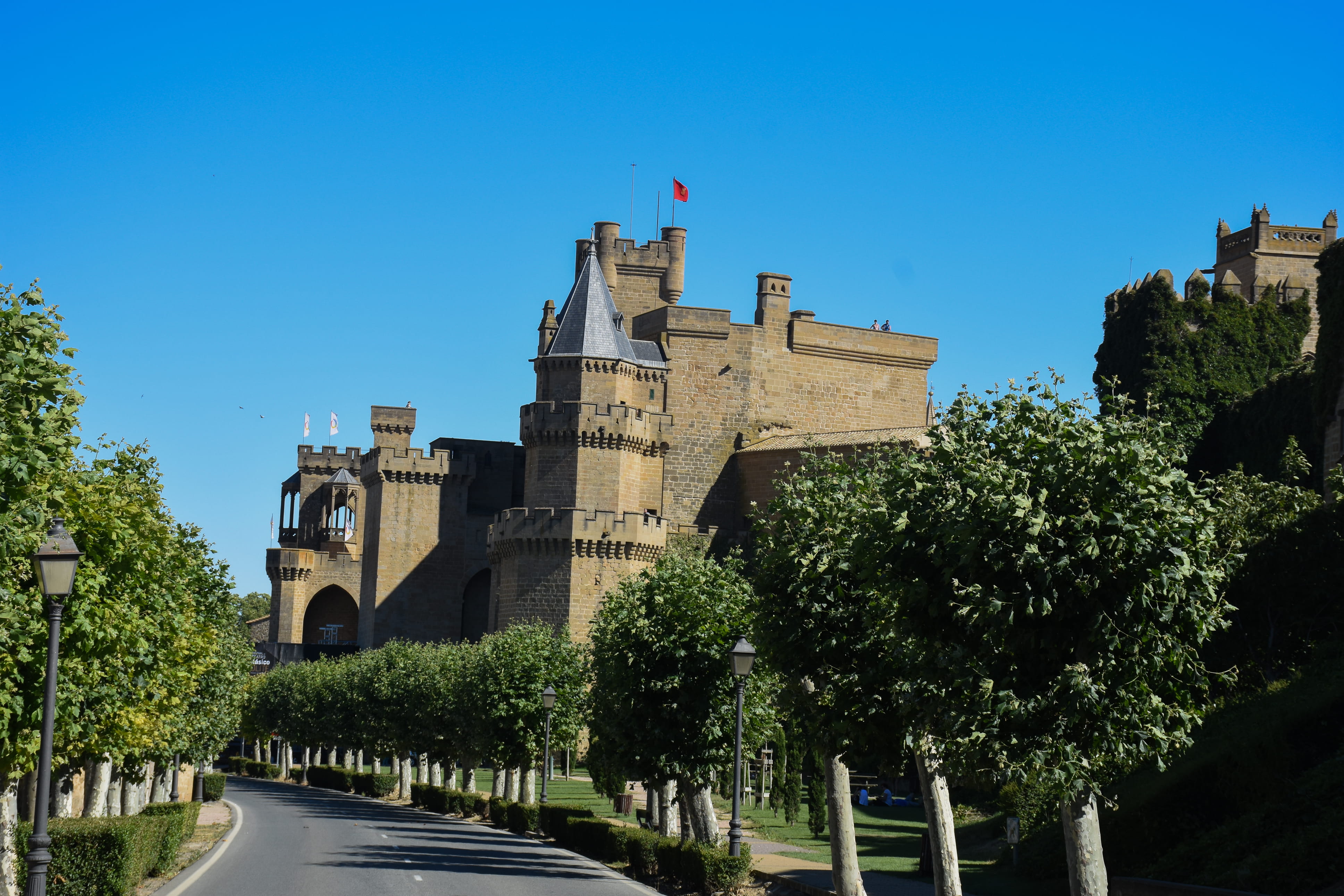 nature, architecture, medieval, sky, built structure, clear sky, building exterior, day, olite, tree, turístico, españa, building, outdoors, history, plant, HD Wallpaper