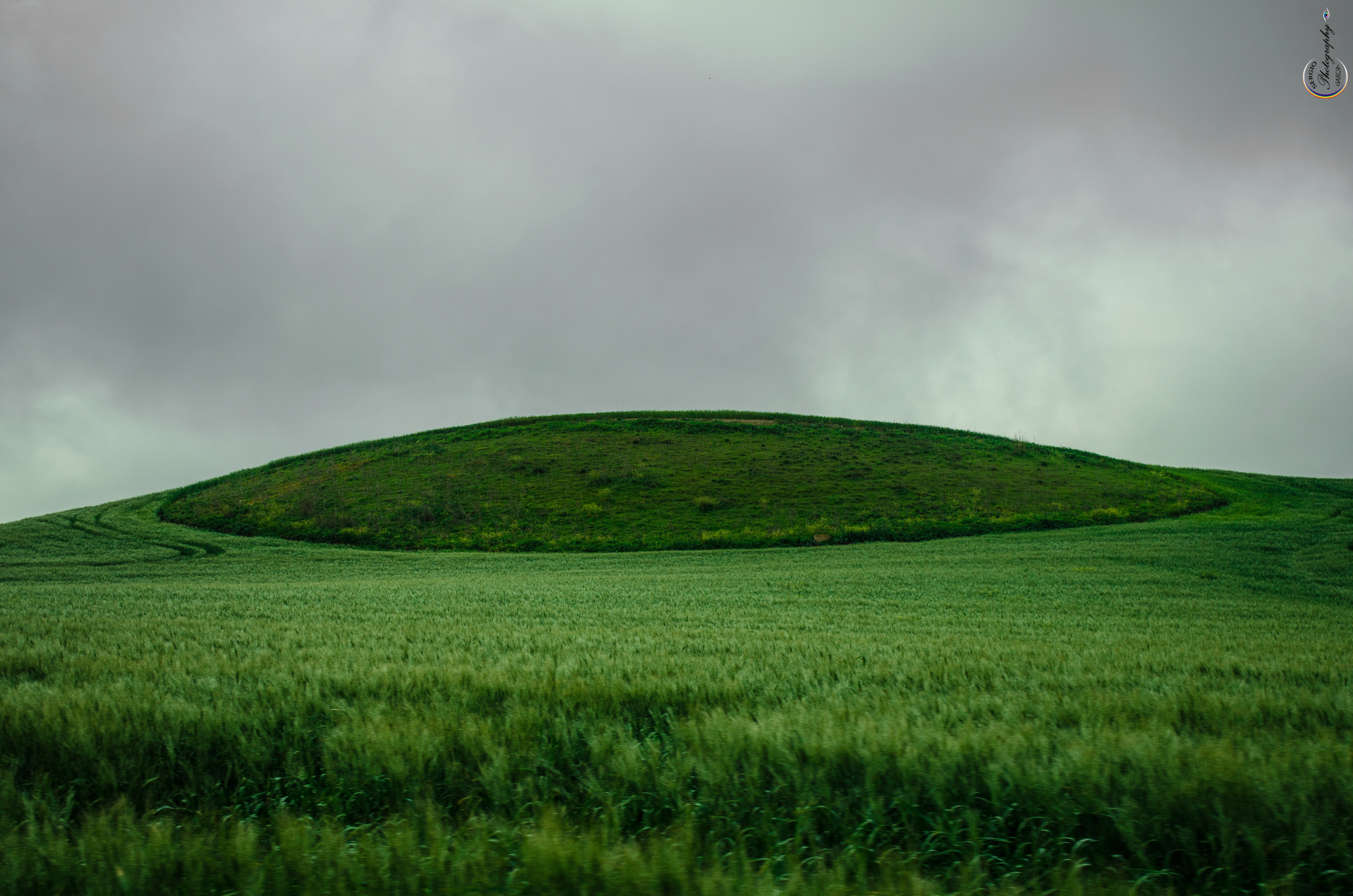 Green, Brume, Campo, sky, Niebla, nature, 4K, HD Wallpaper