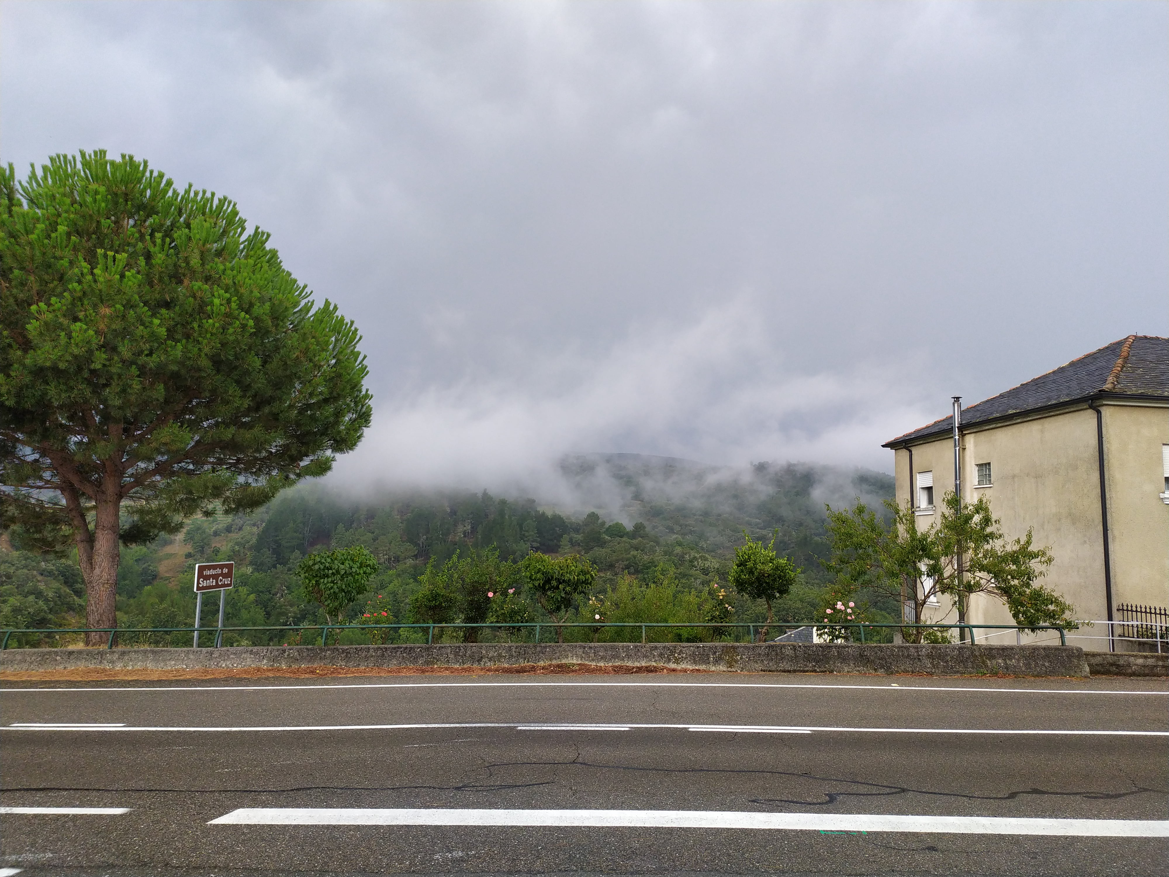 niebla, road, Santa Cruz (O Bolo), forest, Ourense, 4K, HD Wallpaper
