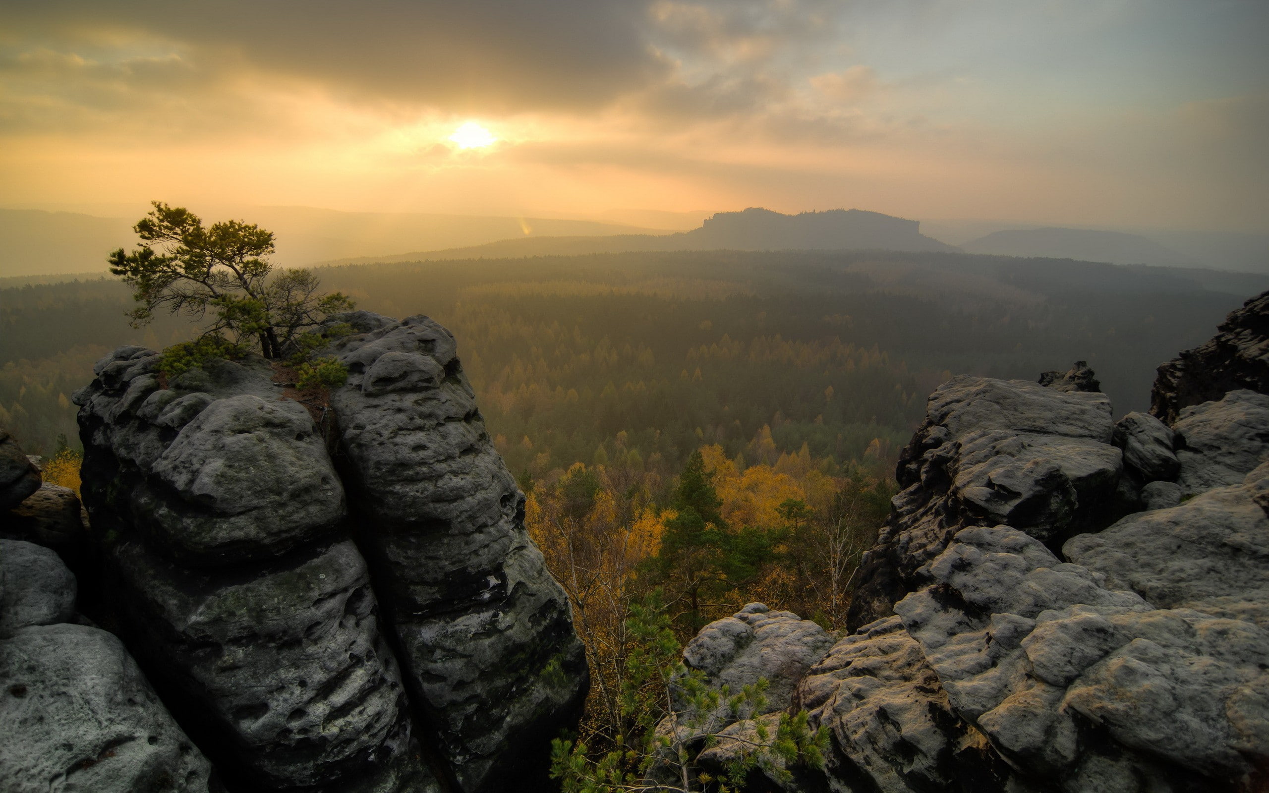 niebla, amanecer, naturaleza, 2K, HD Wallpaper
