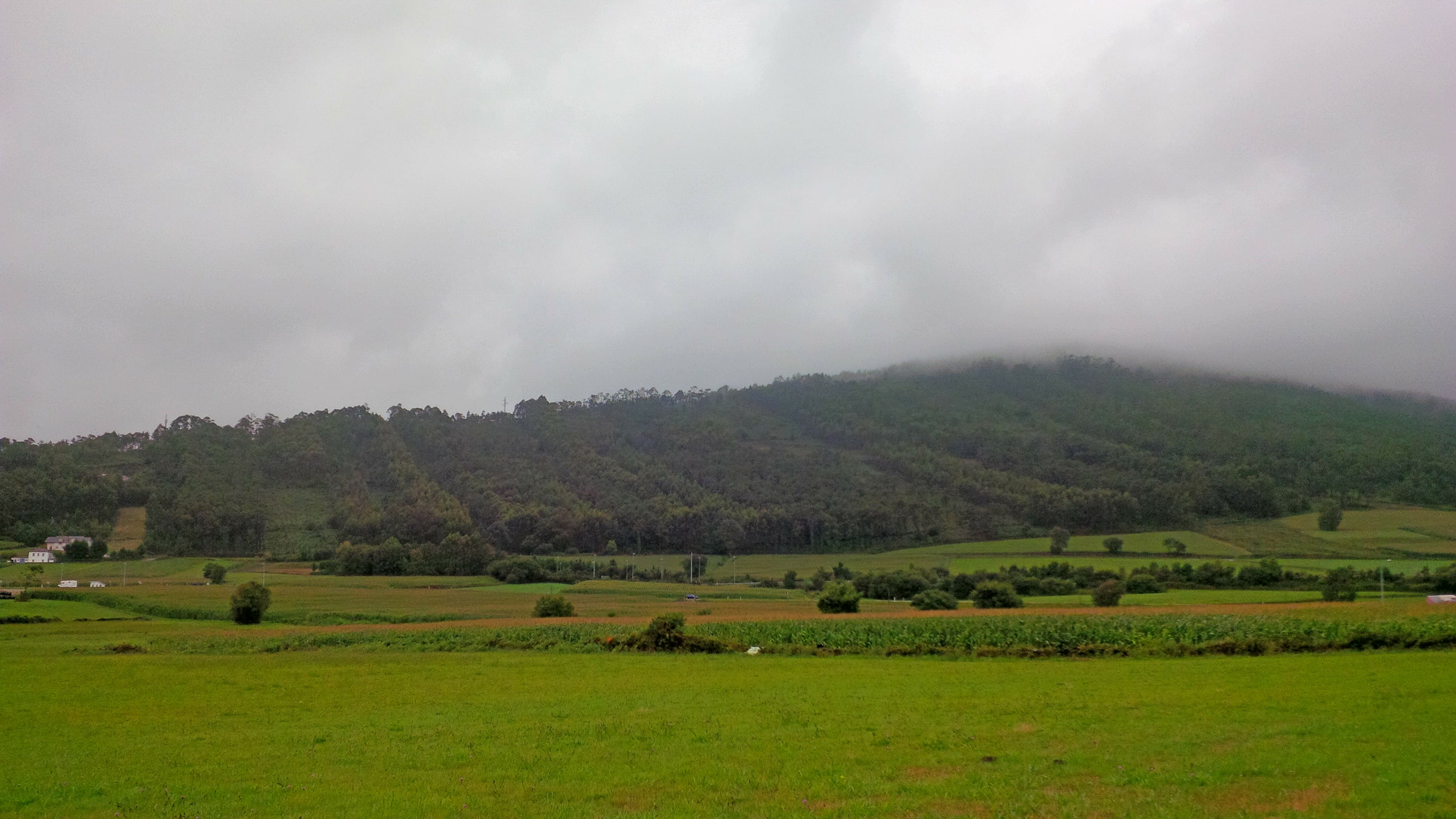 outdoors, land, carr. mohías, tree, 2K, sky, tranquility, day, field, no people, beauty in nature, plant, asturias, scenics - nature, niebla, rio pinto, HD Wallpaper