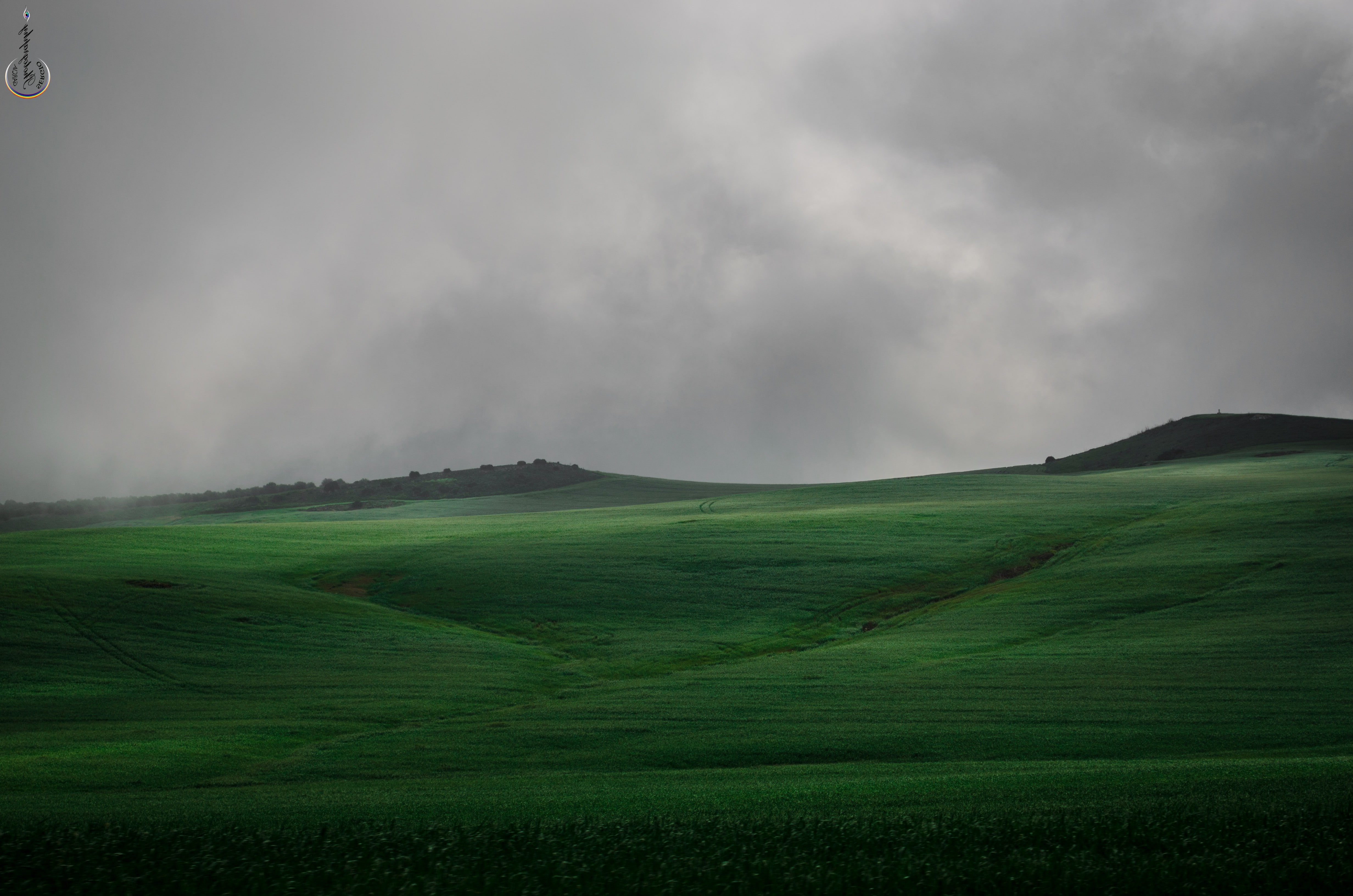 Niebla, sky, Green, Campo, mist, 4K, Brume, nature, HD Wallpaper