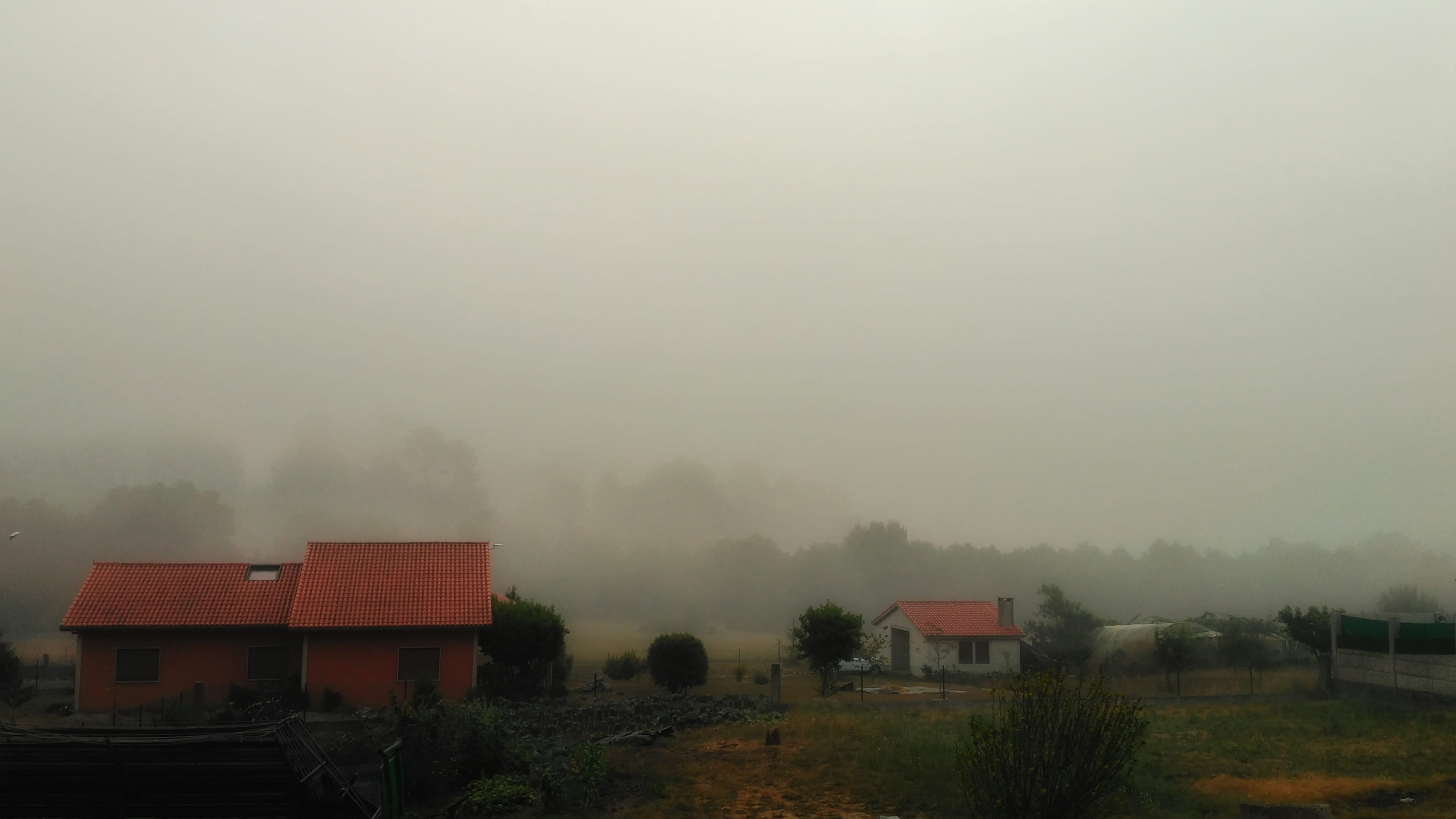fog, environment, beauty in nature, santiago de compostela, landscape, copy space, no people, niebla, building exterior, tree, neboa, field, outdoors, land, HD Wallpaper