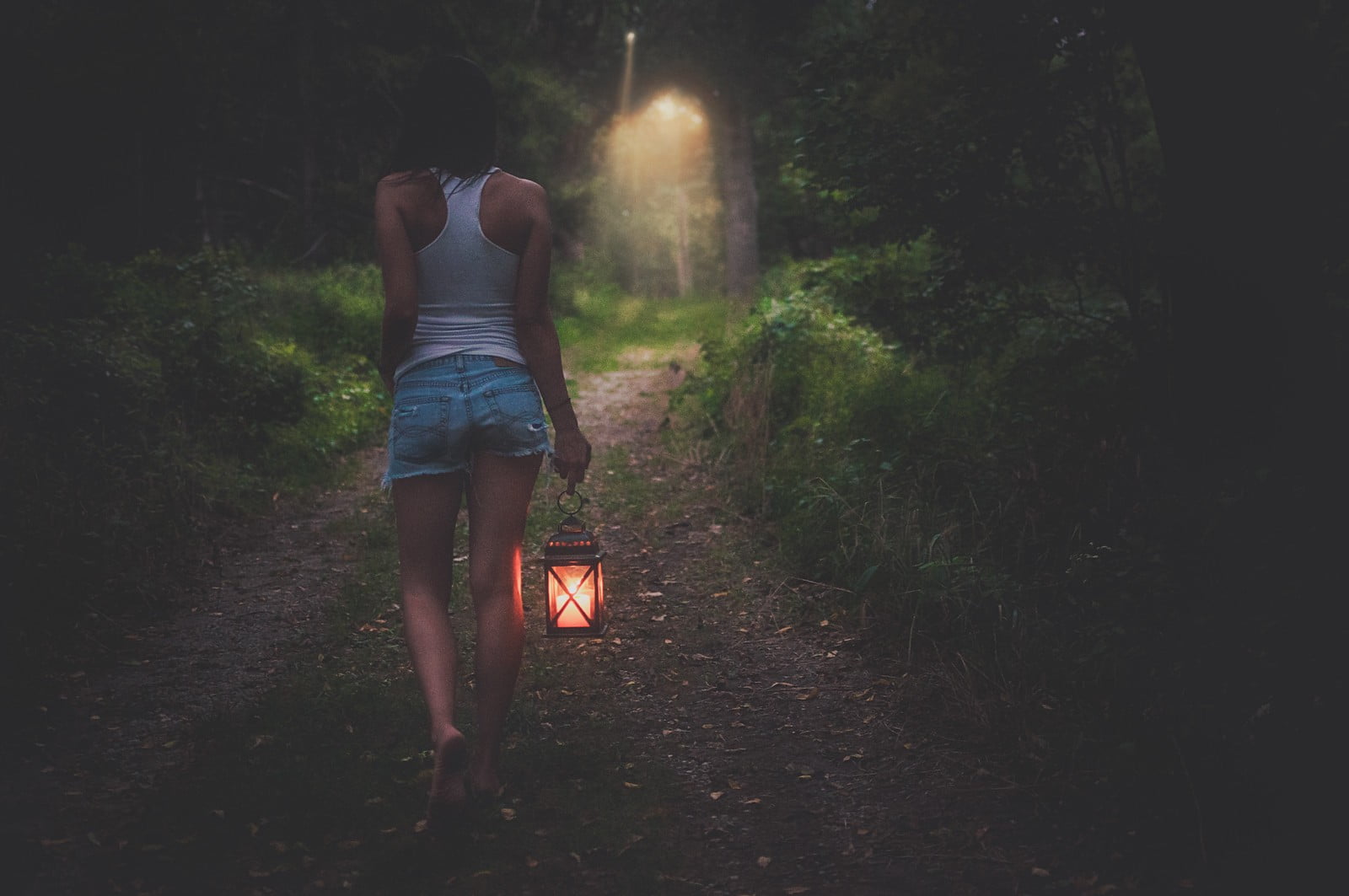 shorts, bare shoulders, tank top, the way forward, lifestyles, walking, one person, short hair, tree, carrying, adult, barefoot, brunette, leisure activity, HD Wallpaper