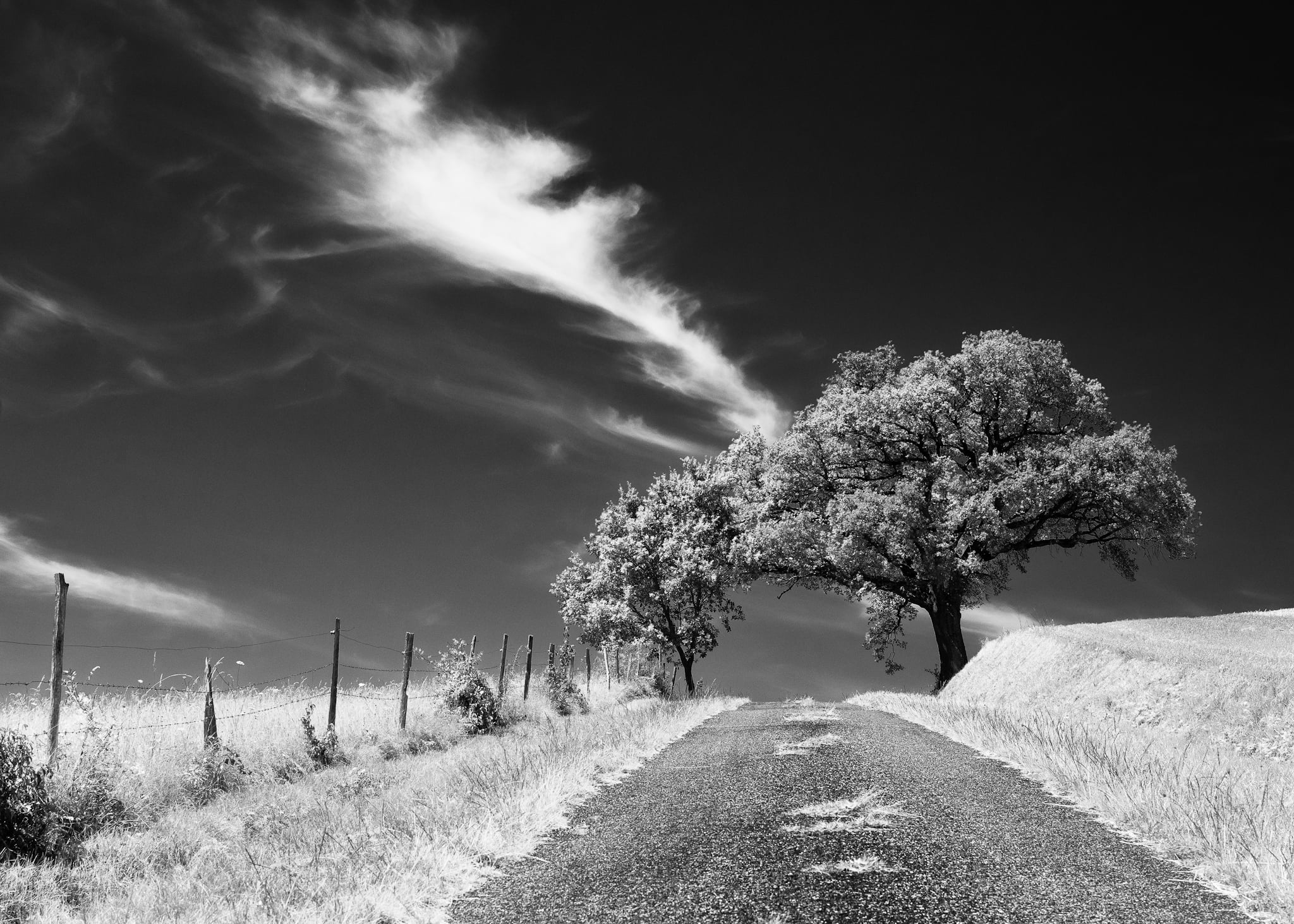 agriculture, clouds, road, hill top, photography, meadow, landscape, tree, black And White, campagne, trees, grayscale, vanishing point, field, nature, HD Wallpaper