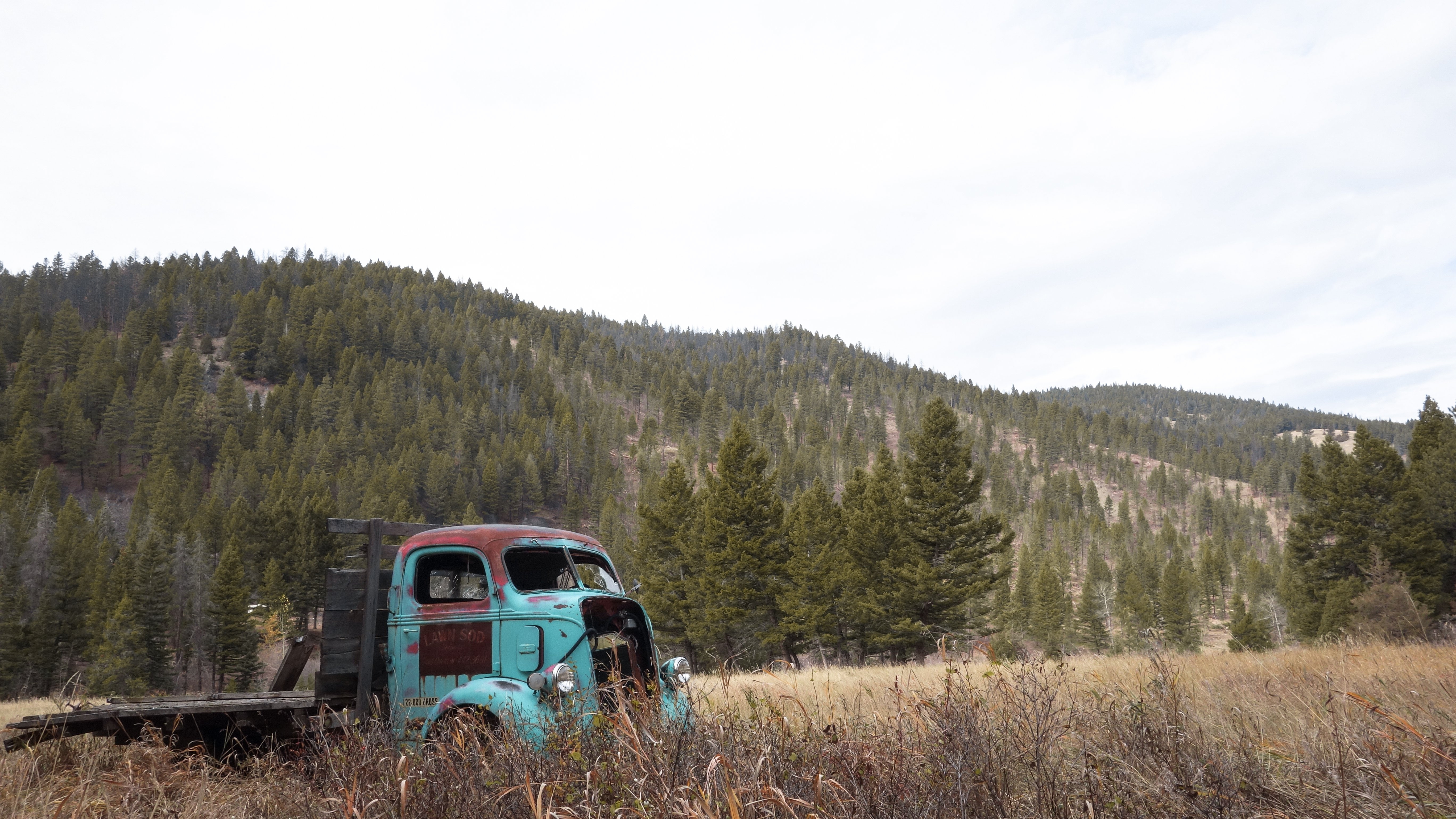 truck, coe, rusty, 5K, HD Wallpaper