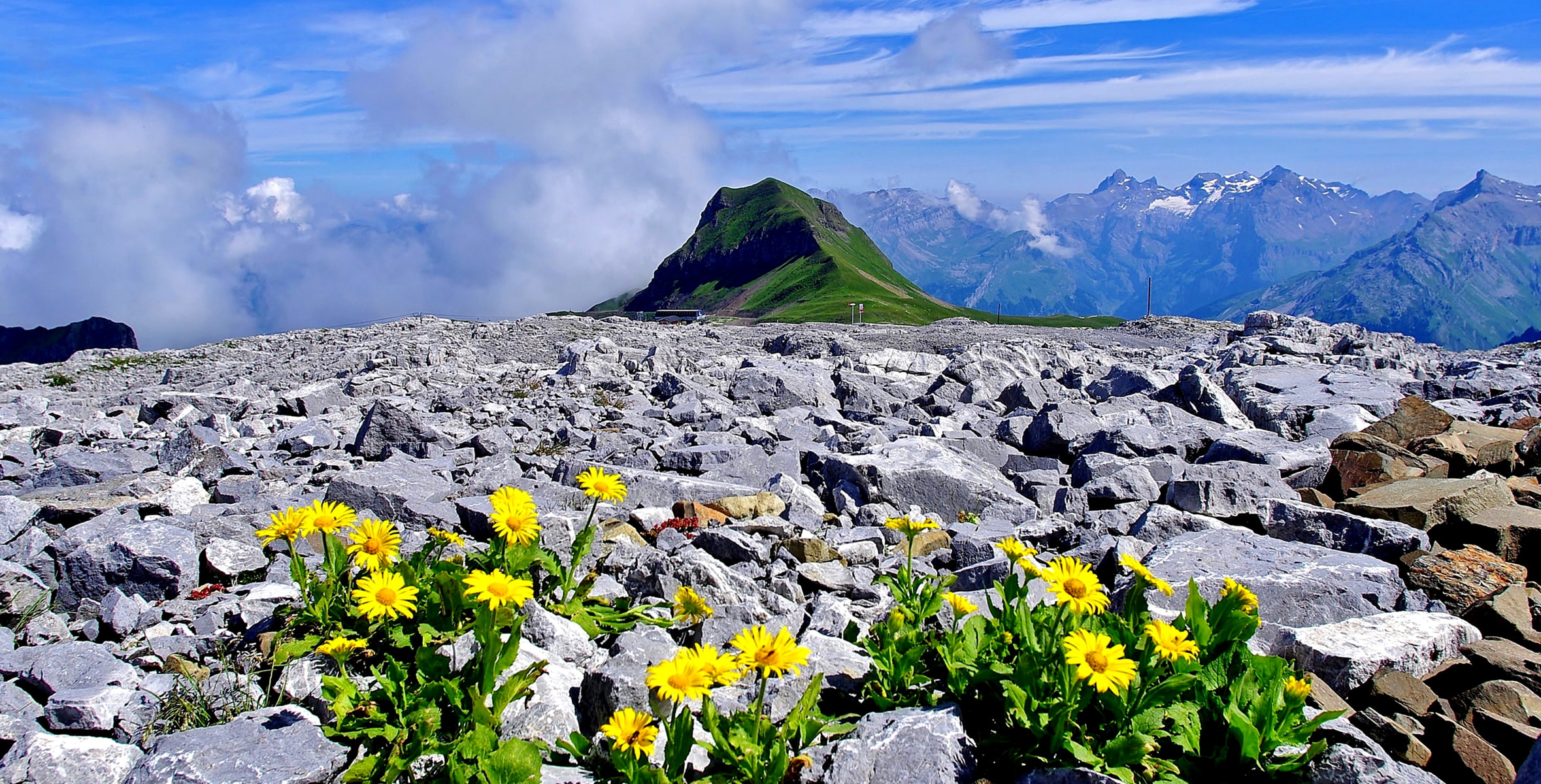 mountains, flowers, stones, Haute-Savoie, France, Alps, 1080P, HD Wallpaper
