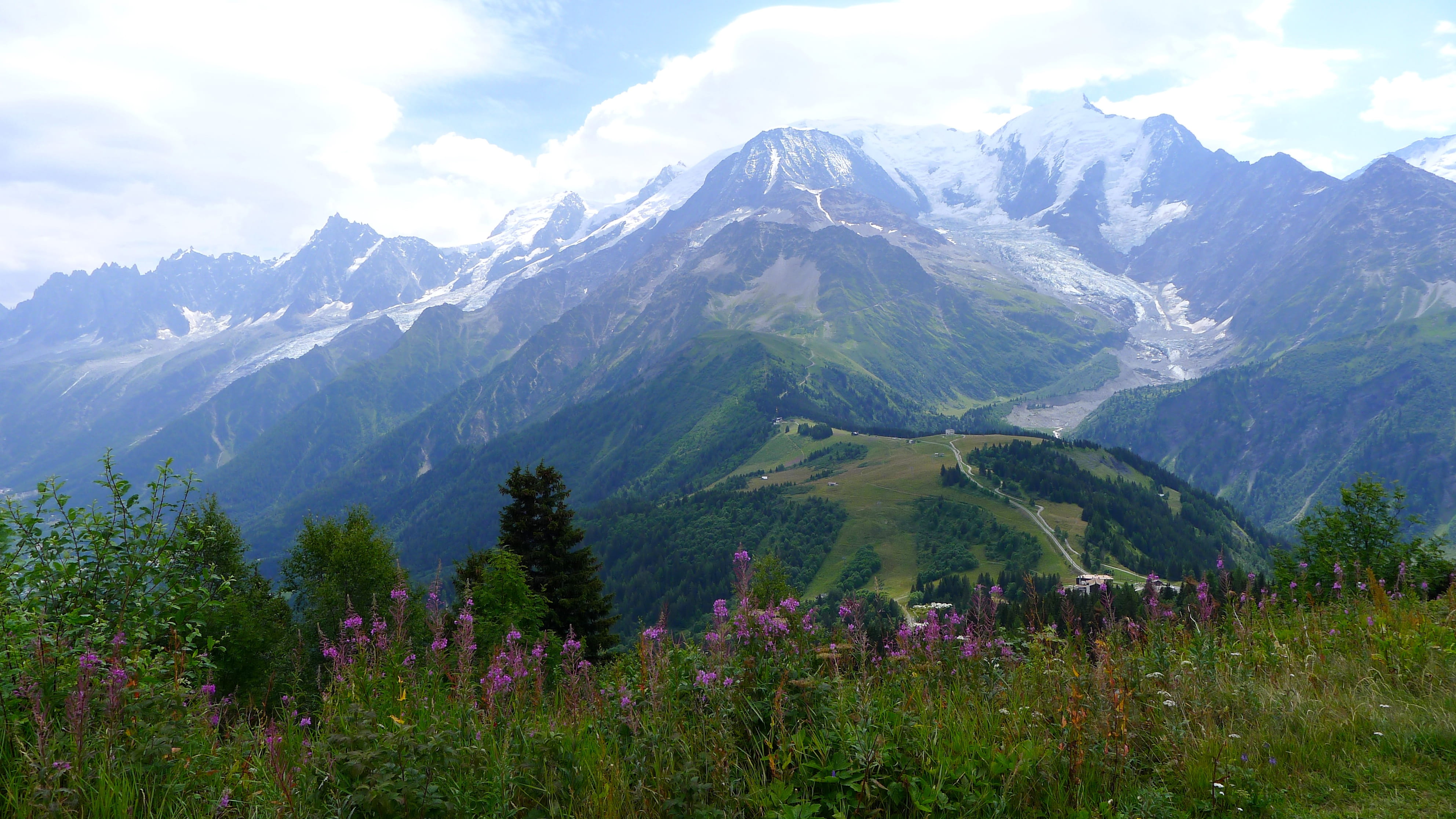nature, no people, mountain, summer, snowcapped mountain, flowering plant, france, growth, mountain peak, sky, outdoors, beauty in nature, landscape, plant, HD Wallpaper