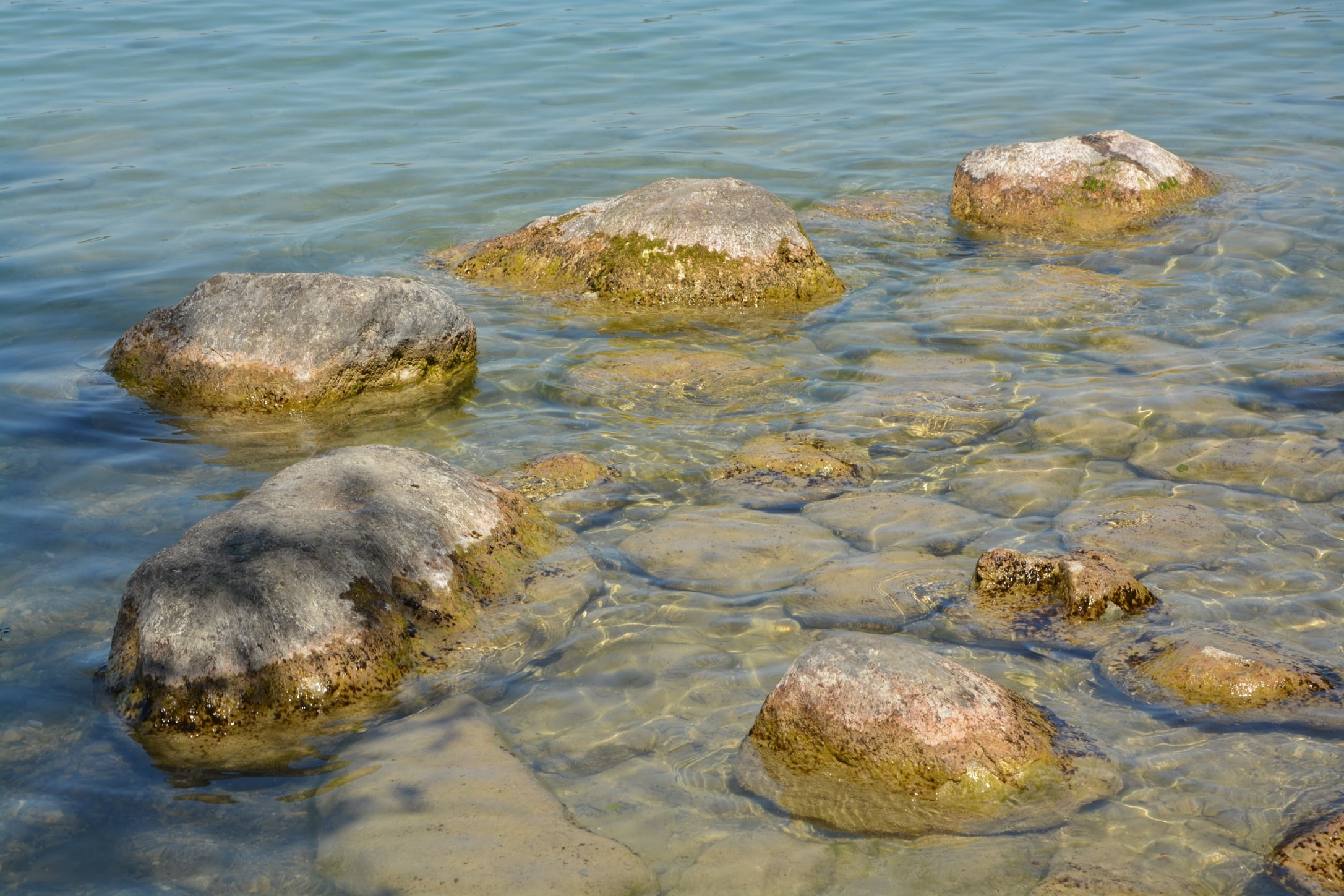 animal themes, one animal, lake, tranquil scene, solid, high angle view, water, beauty in nature, crocodile, land, no people, outdoors, rocks, tranquility, HD Wallpaper