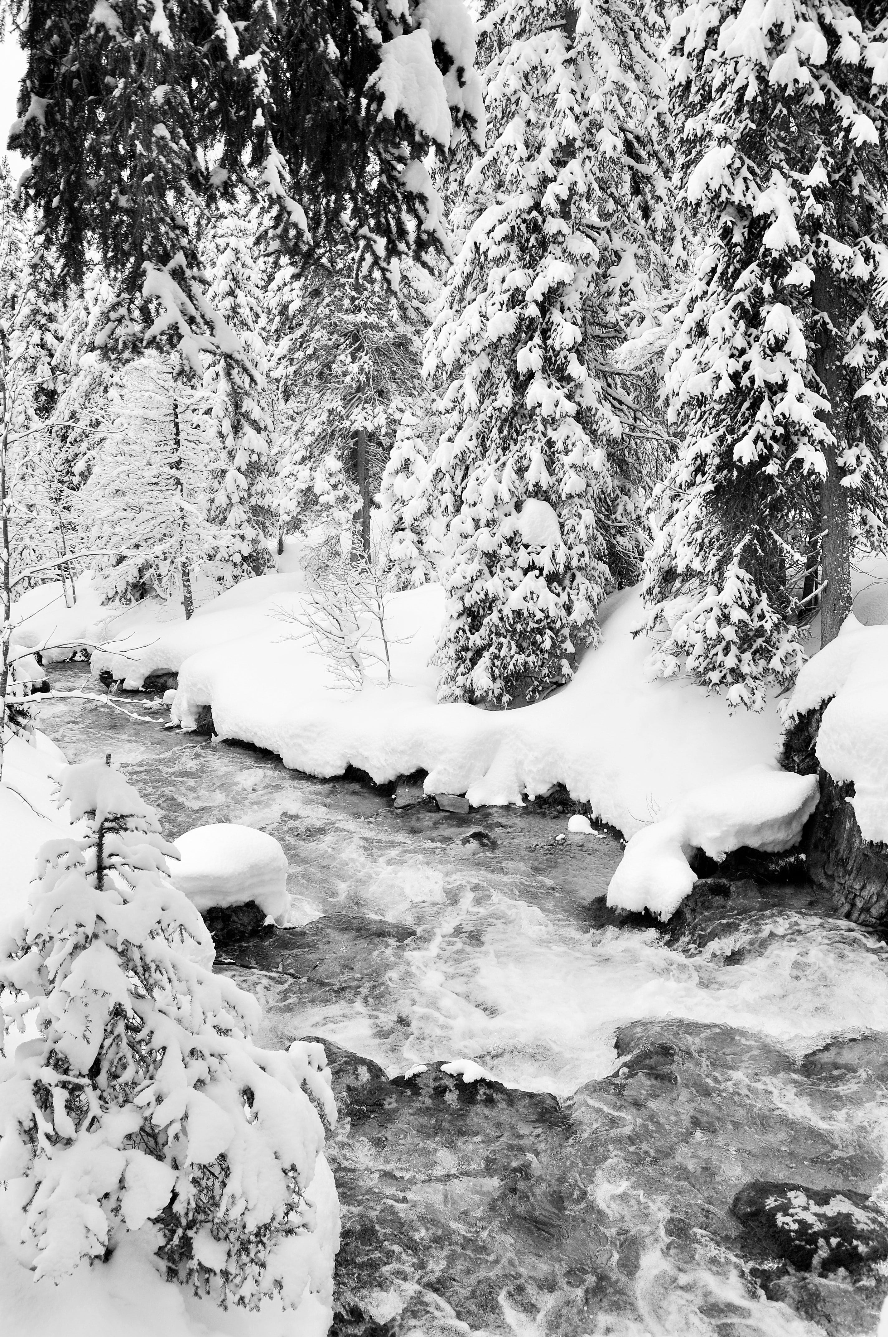 scenics - nature, winter, beauty in nature, tree, white color, haute-savoie, ski, tranquil scene, les 3 vallées, cold temperature, winter landscape, high alps, Phone HD Wallpaper