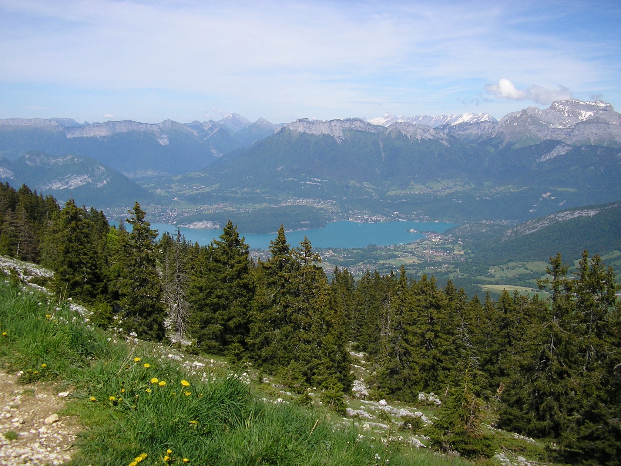 tranquil scene, summer, haute-savoie, snowcapped mountain, growth, pine tree, landscape, rando, mountain, semnoz, mountain range, plant, hiking, non-urban scene, HD Wallpaper
