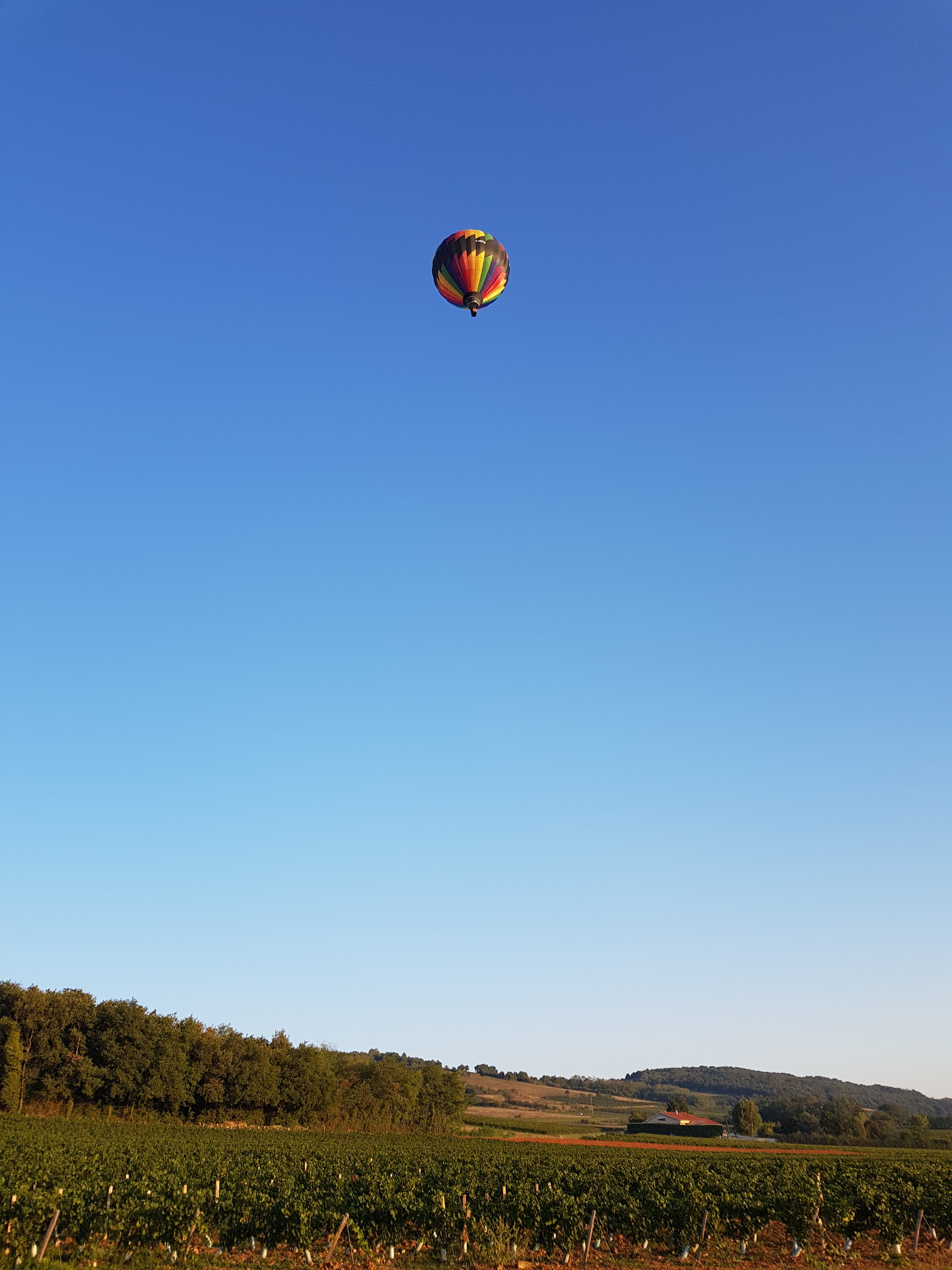 beauty in nature, alti-reve, day, field, scenics - nature, balloon, hot air balloon, no people, sky, mid-air, land, air vehicle, landscape, blue sky, beaujolais, Phone HD Wallpaper