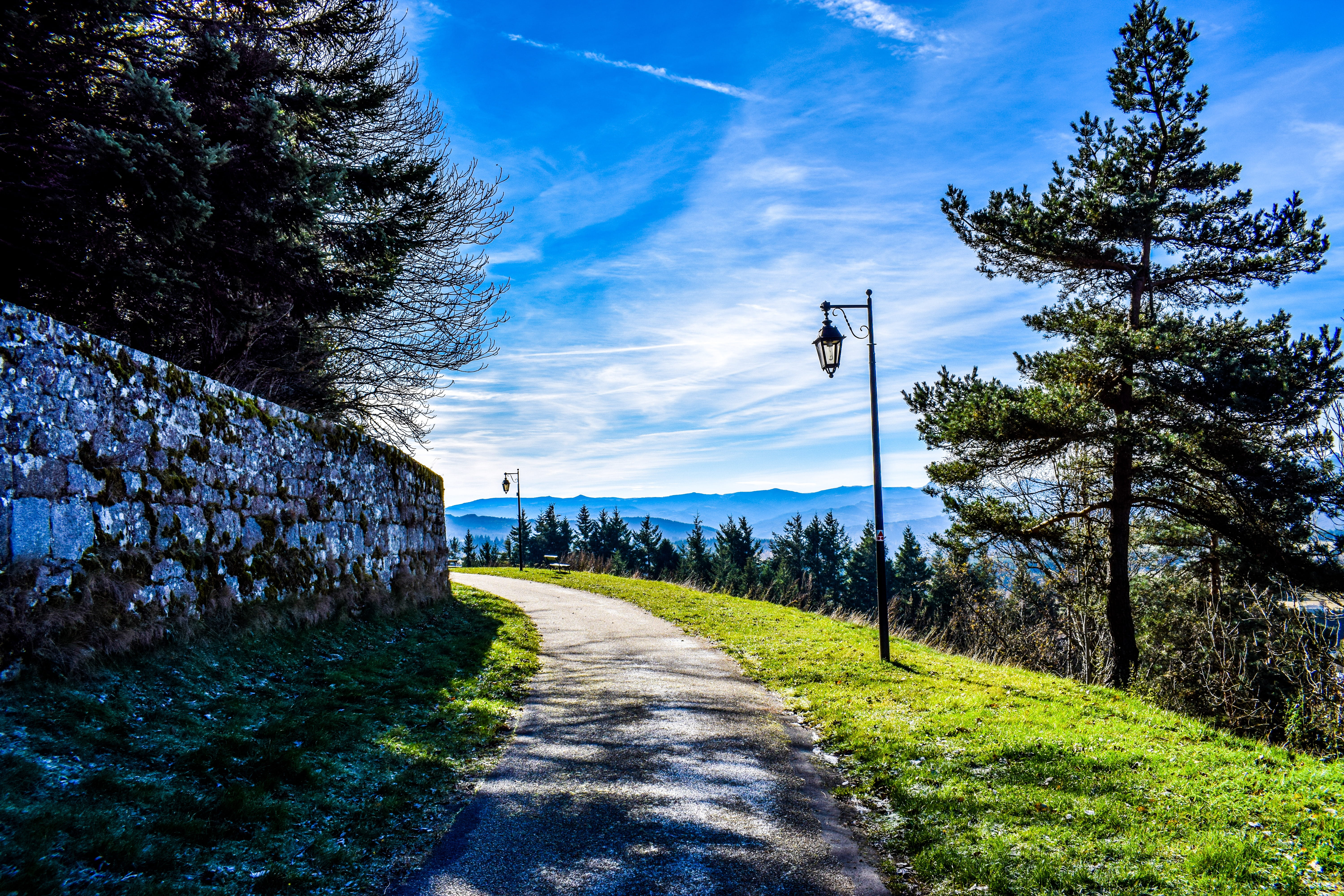 long, magnificent, plant, direction, the way forward, rural scene, transportation, footpath, diminishing perspective, saint there, cold, cloud - sky, no people, HD Wallpaper