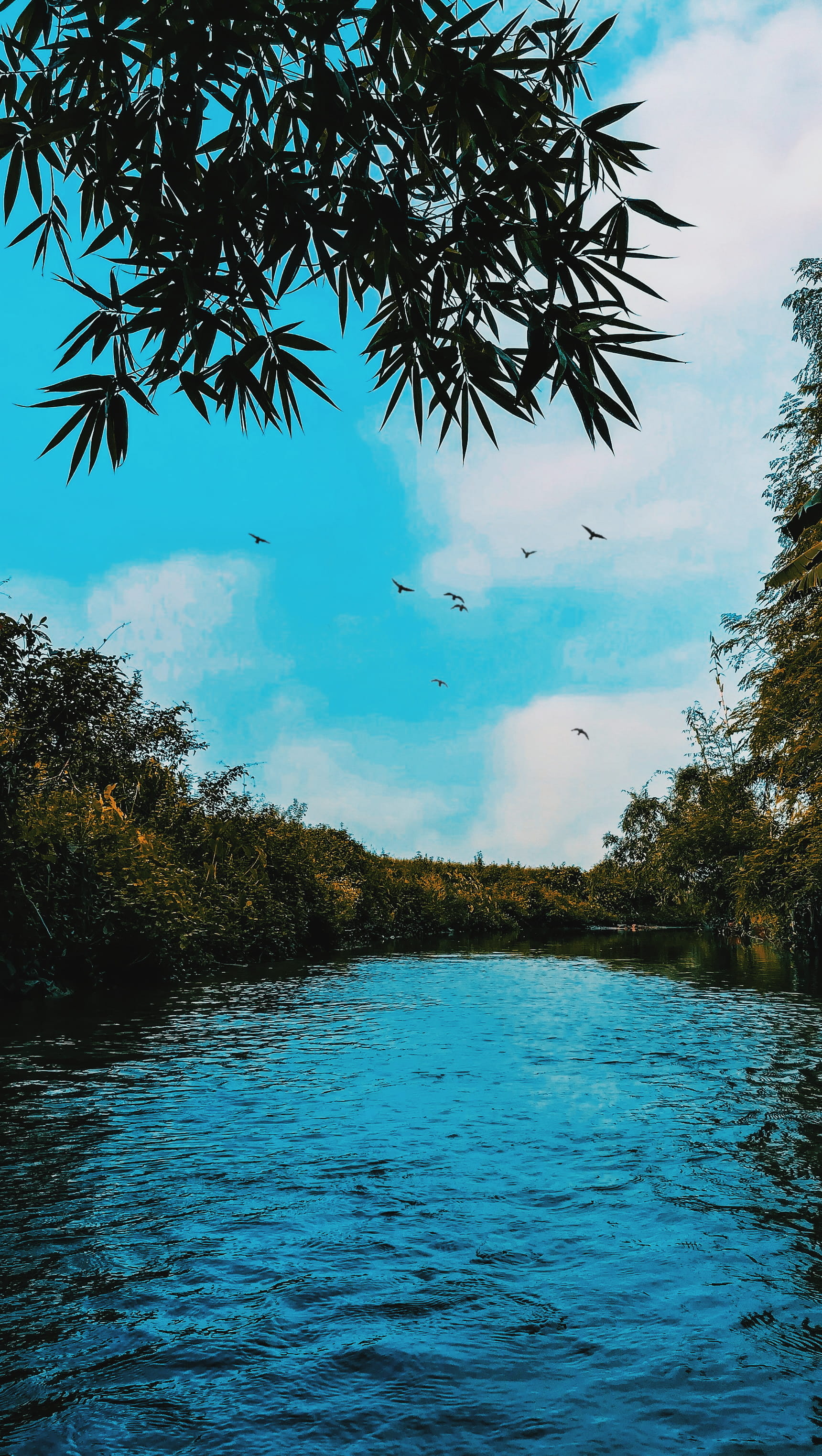 day, non-urban scene, 2K, sea, tranquility, beauty in nature, sky, nature, guwahati-accoland-rani road, scenics - nature, growth, guwahati, india, outdoors, Phone HD Wallpaper