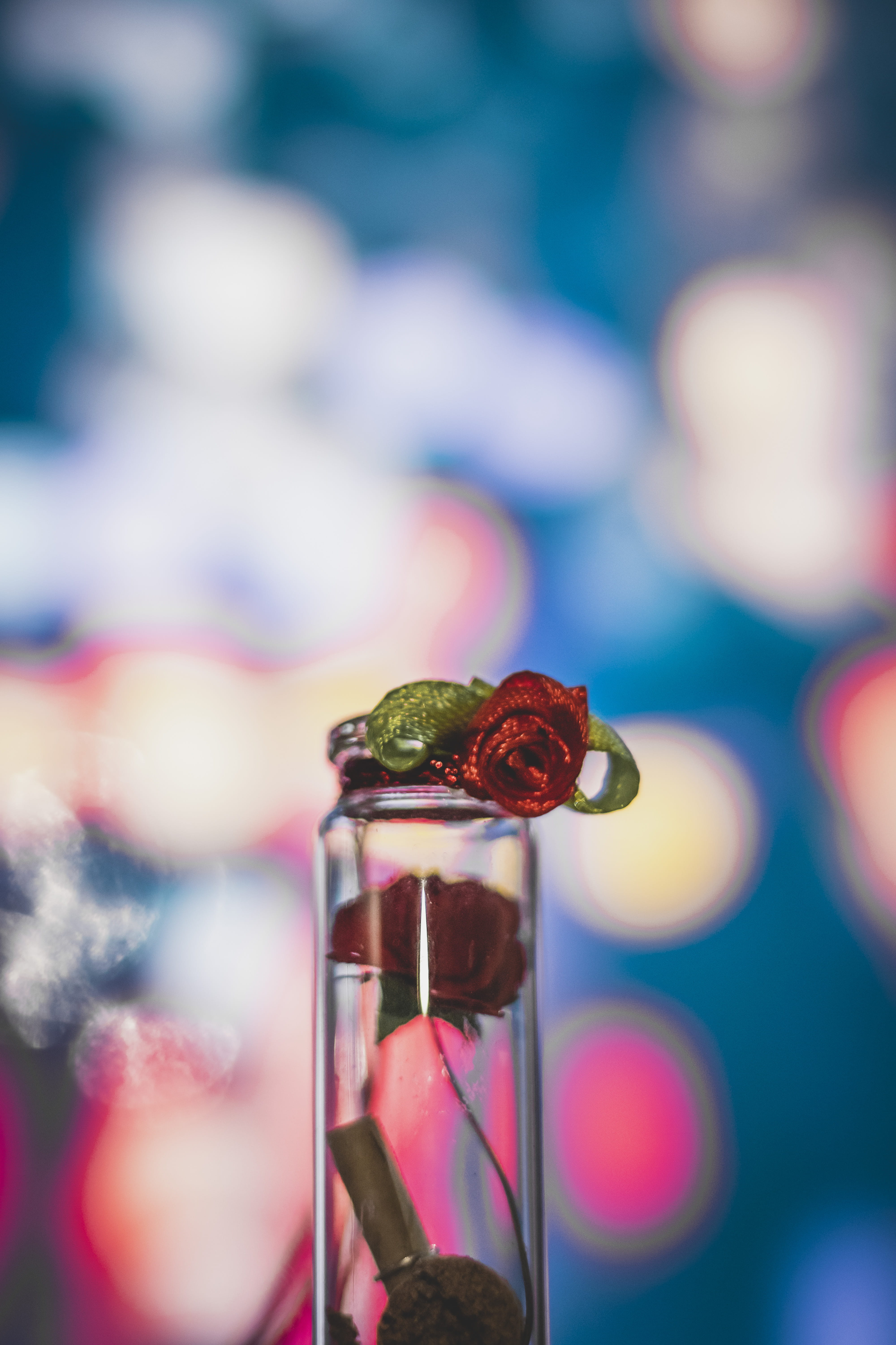 day, freshness, blur, flower, selective focus, focus on foreground, lights, sphere, macro, depth, plant, bokeh, focus, nature, neon, india, multi colored, Phone HD Wallpaper
